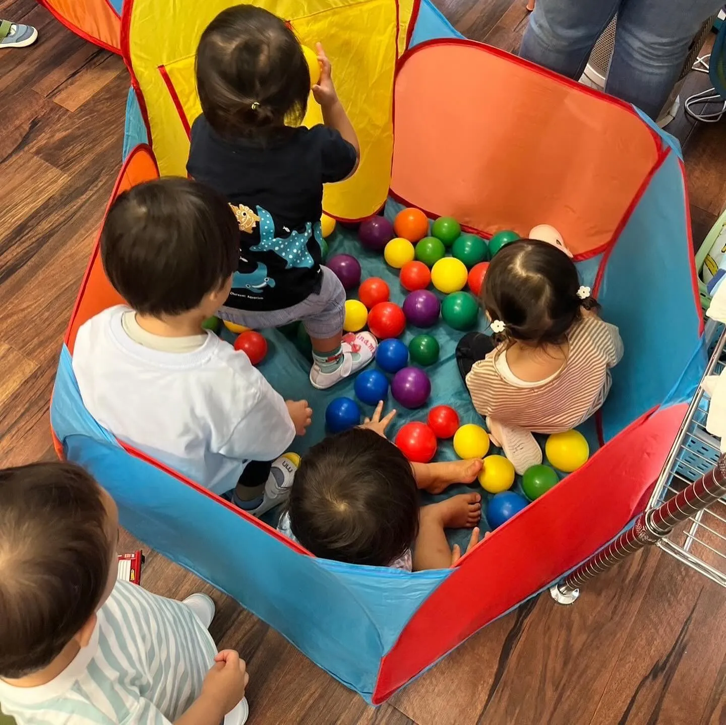 Baby steps and toddler class t...