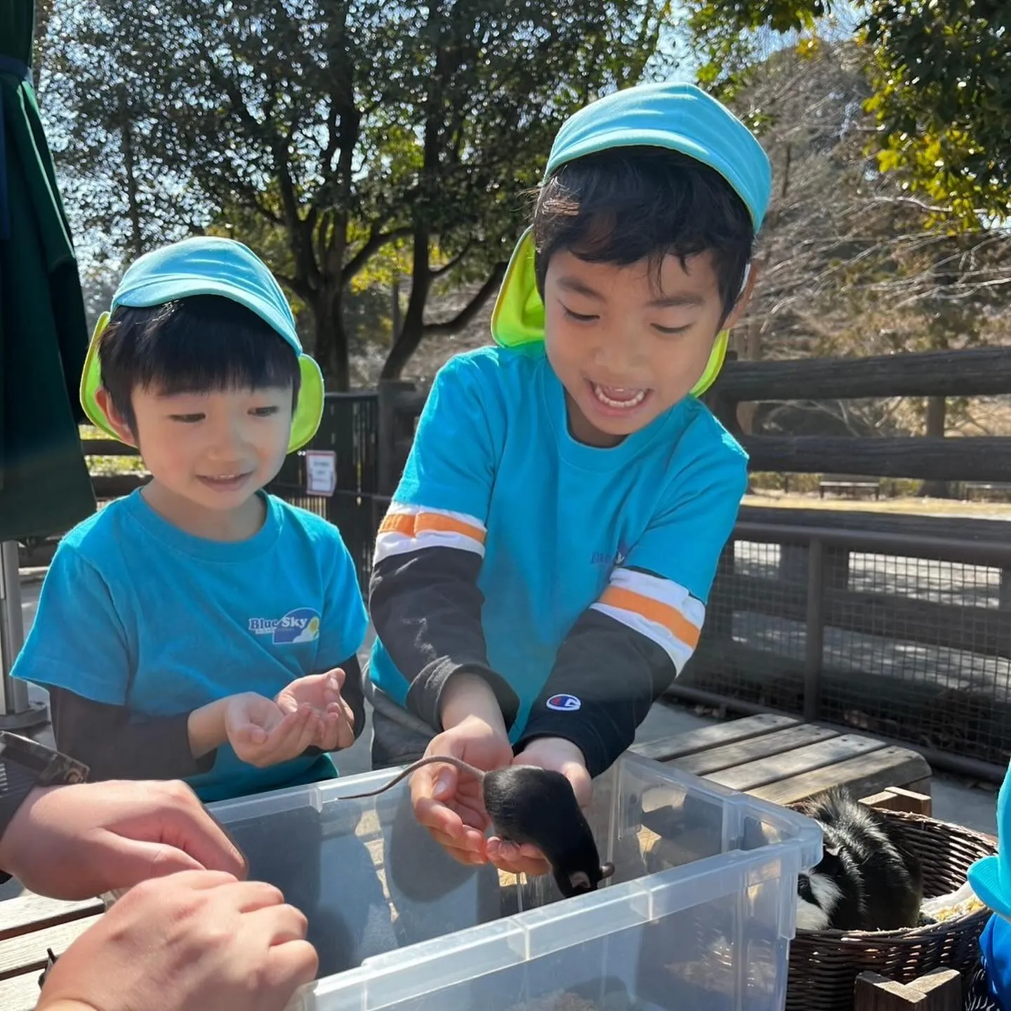 Kinder picnic