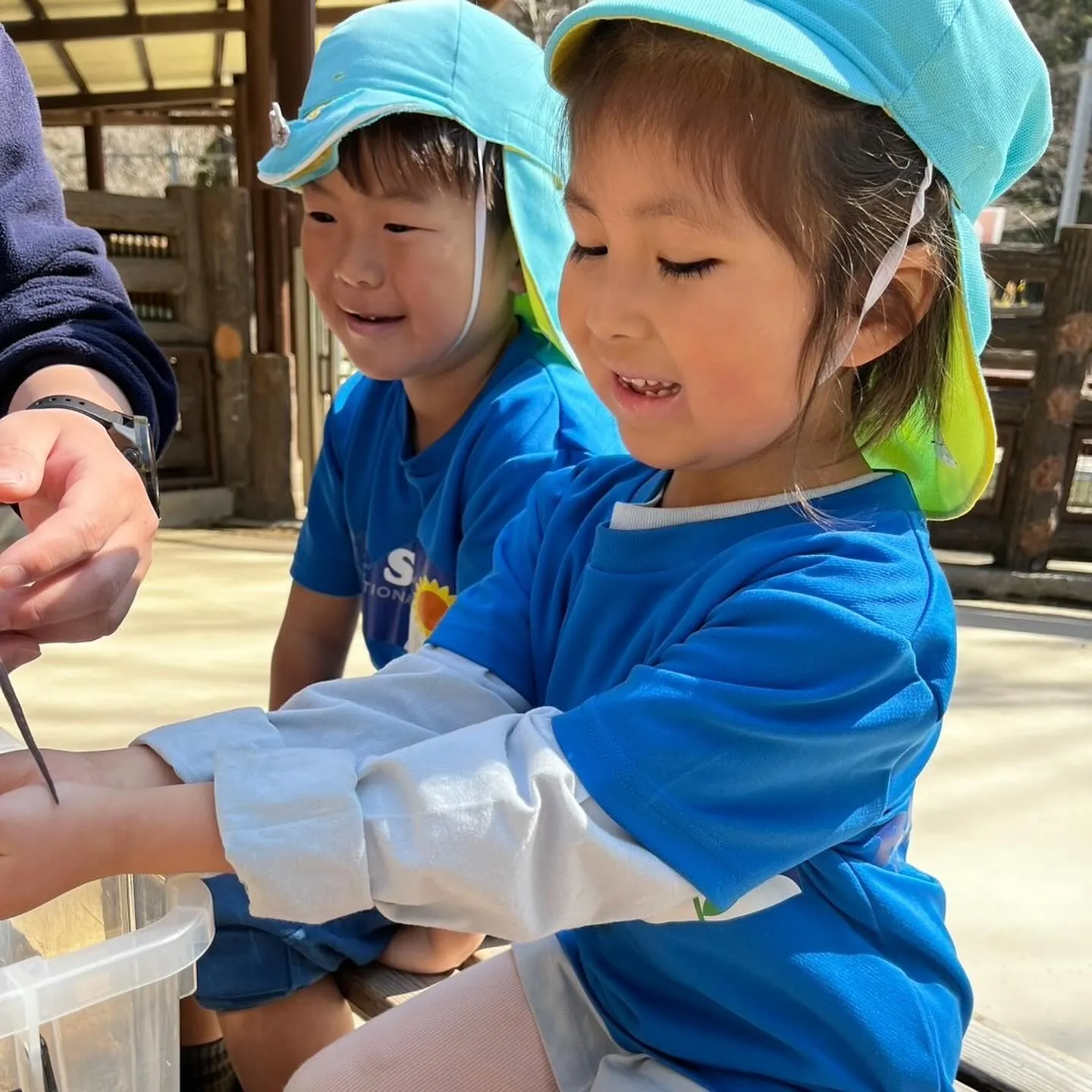 Kinder picnic