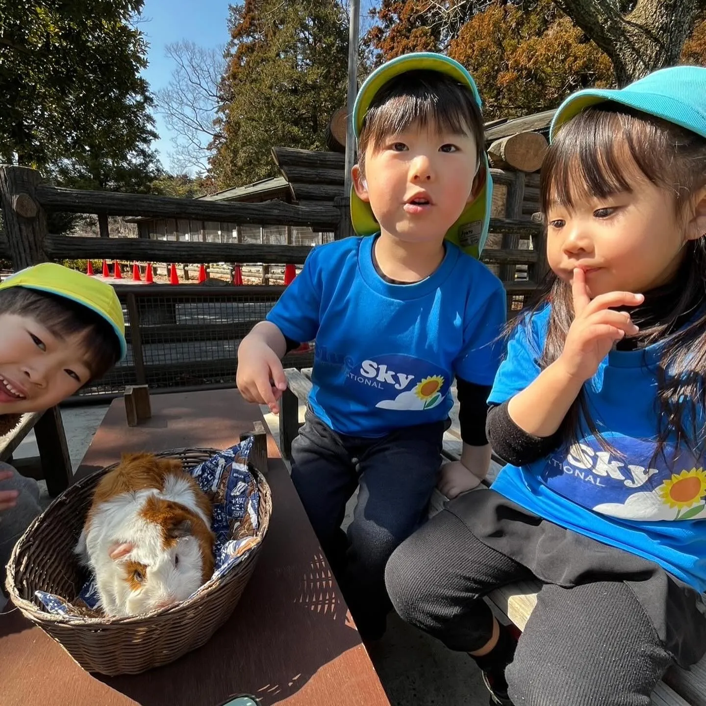 Kinder picnic