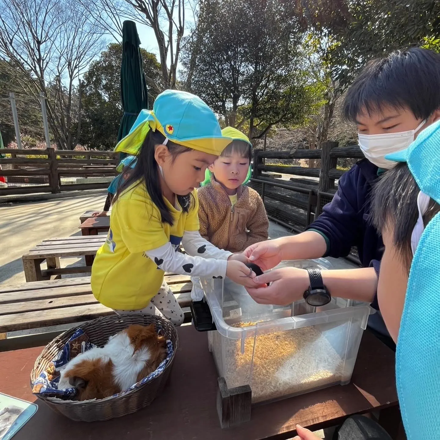 Kinder picnic