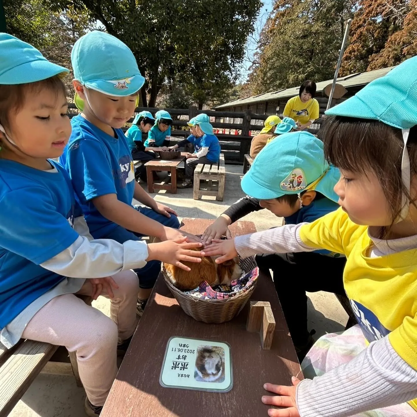 Kinder picnic today 