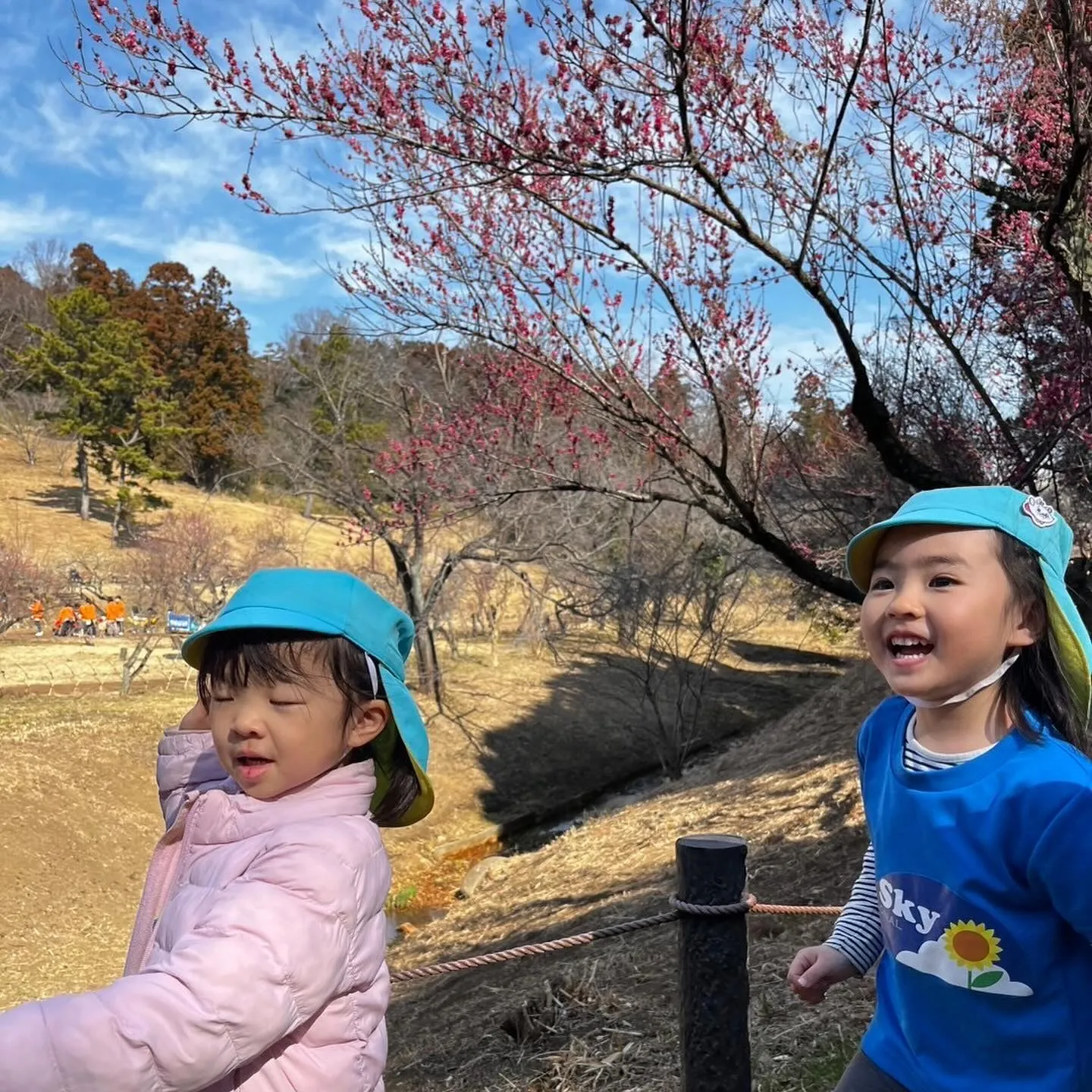 Kinder picnic today 