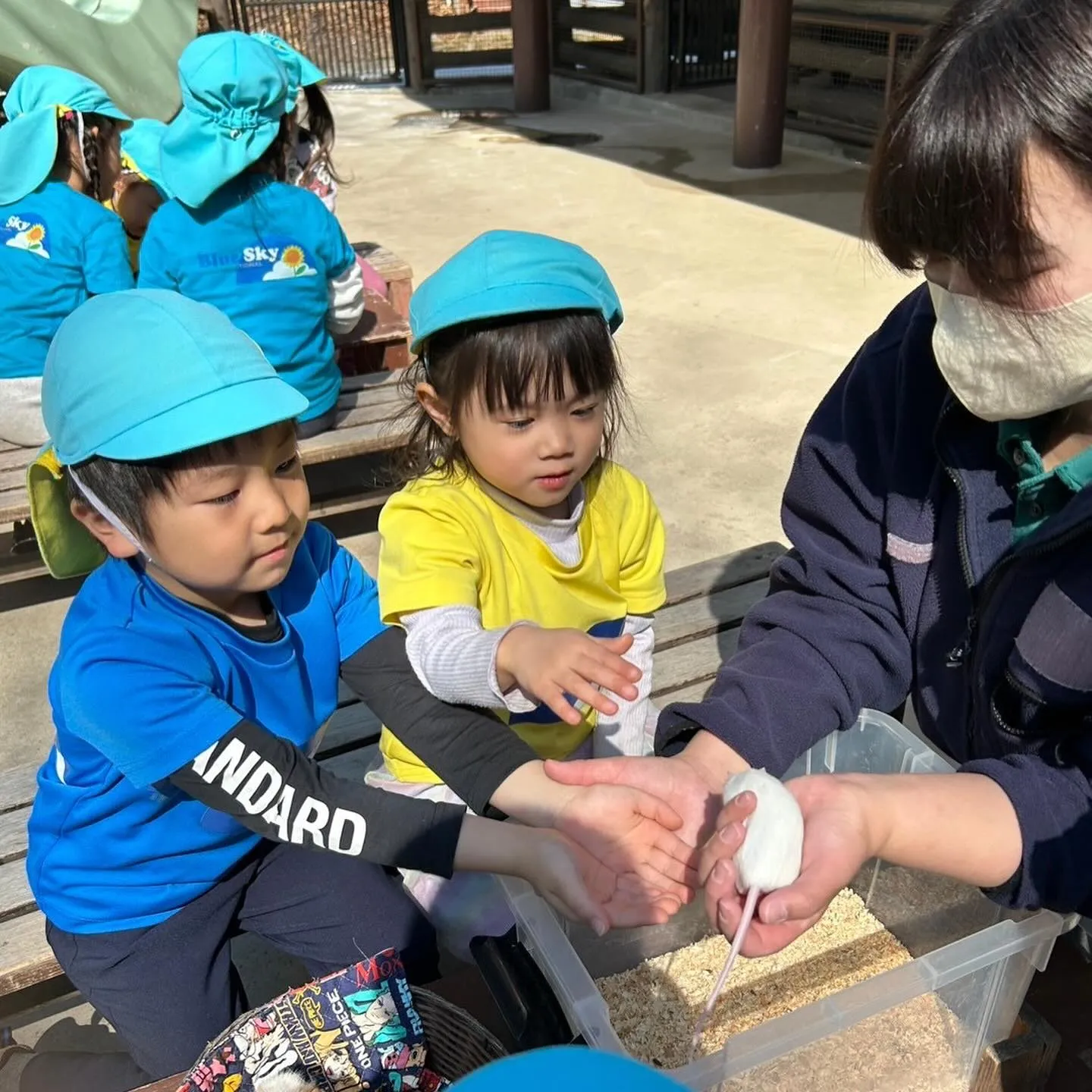 Kinder picnic today 