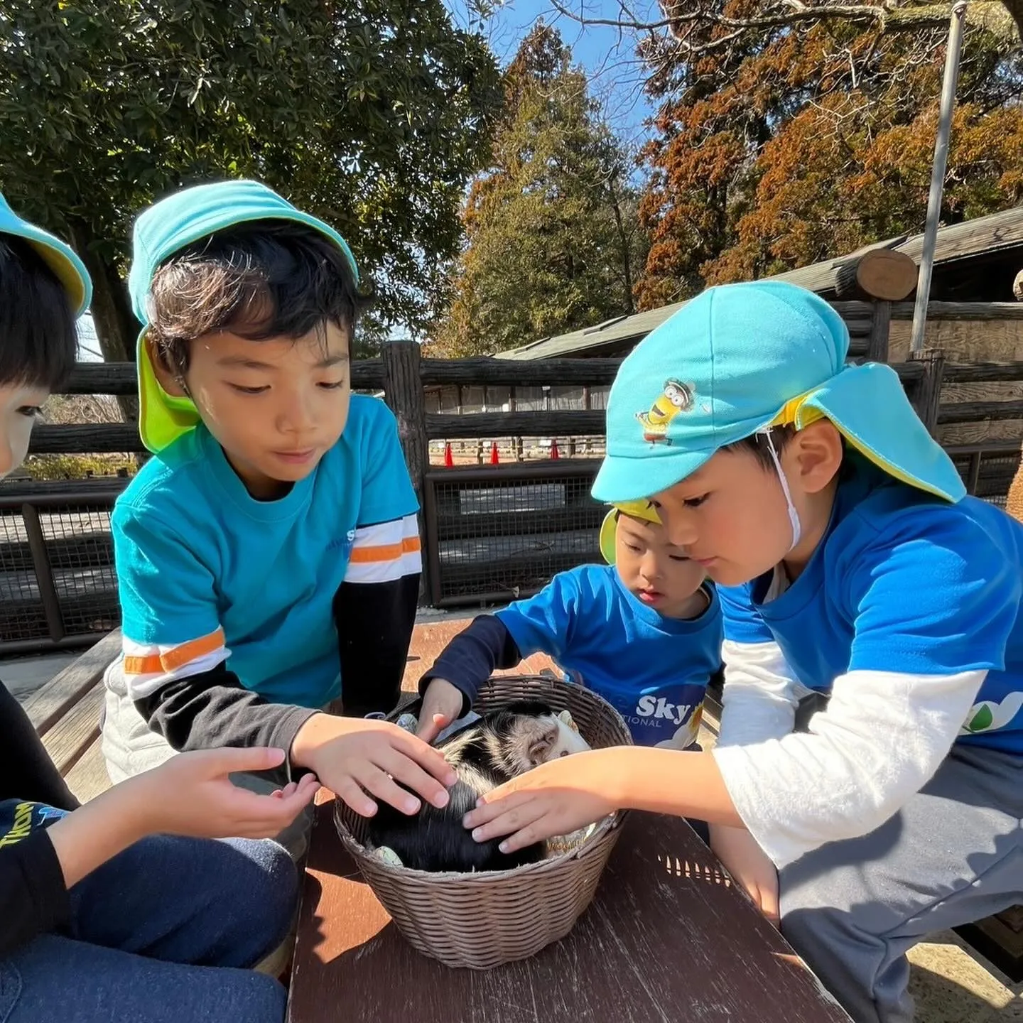 Kinder picnic today 