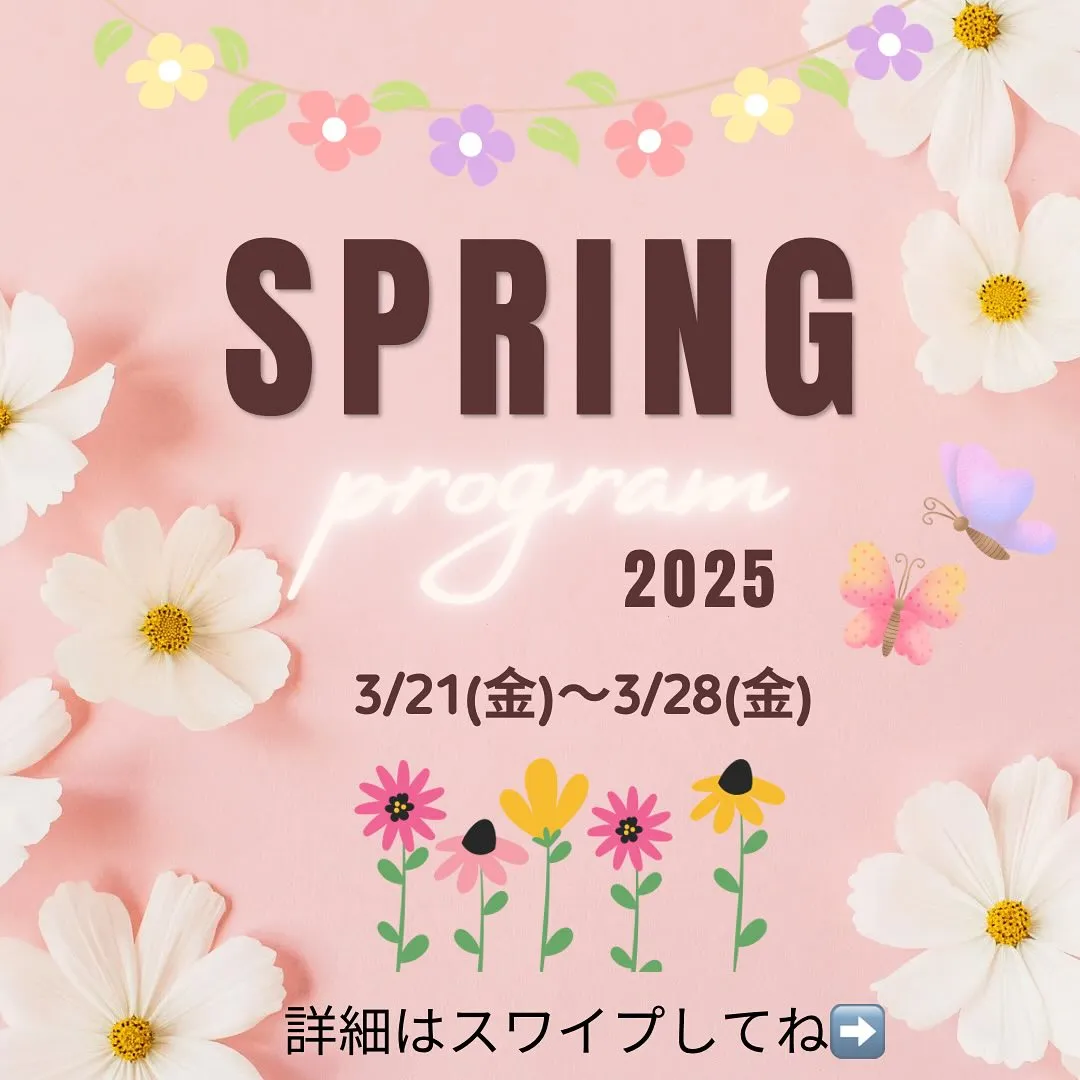 Spring program 2025のご案内🌸