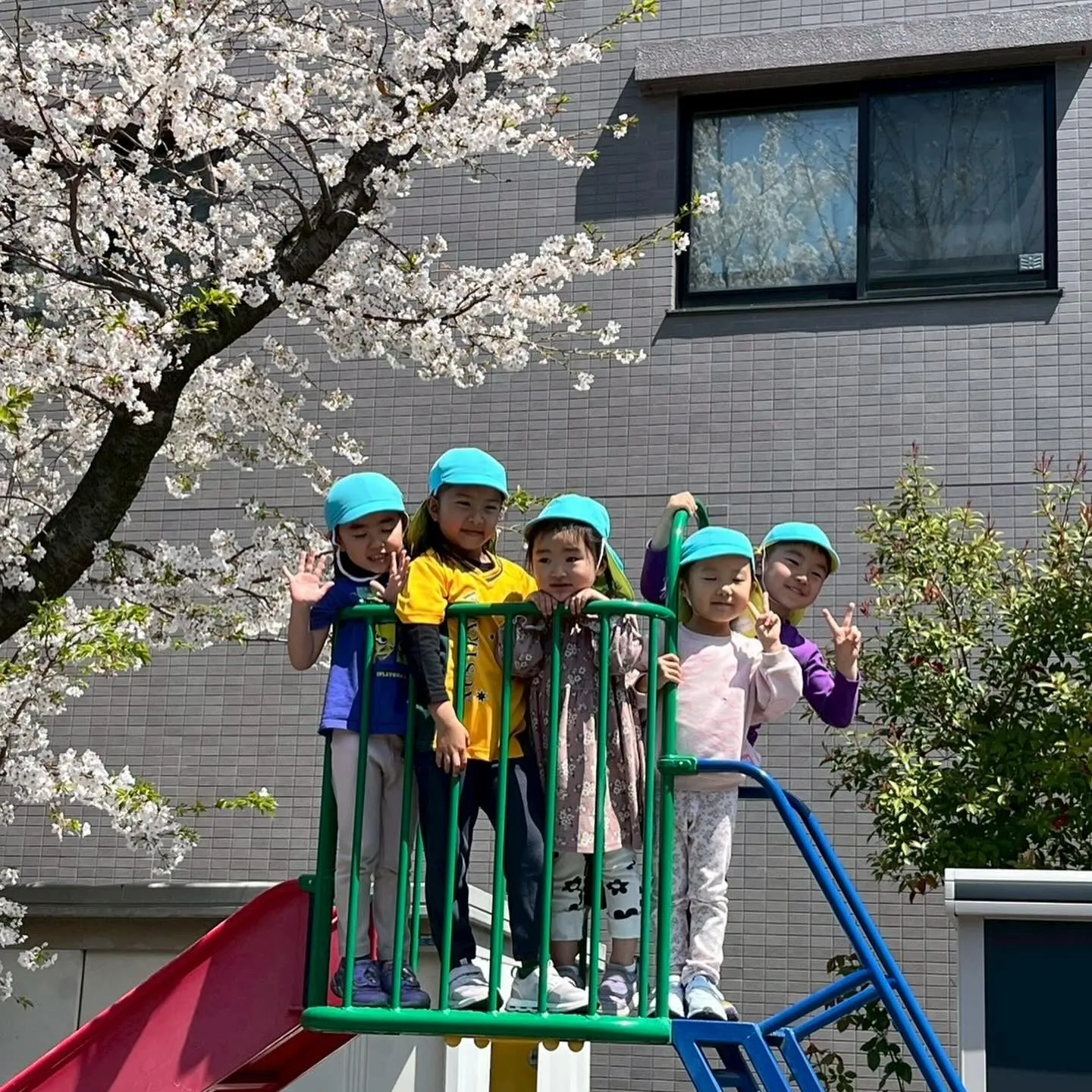 Today’s Kinder class 