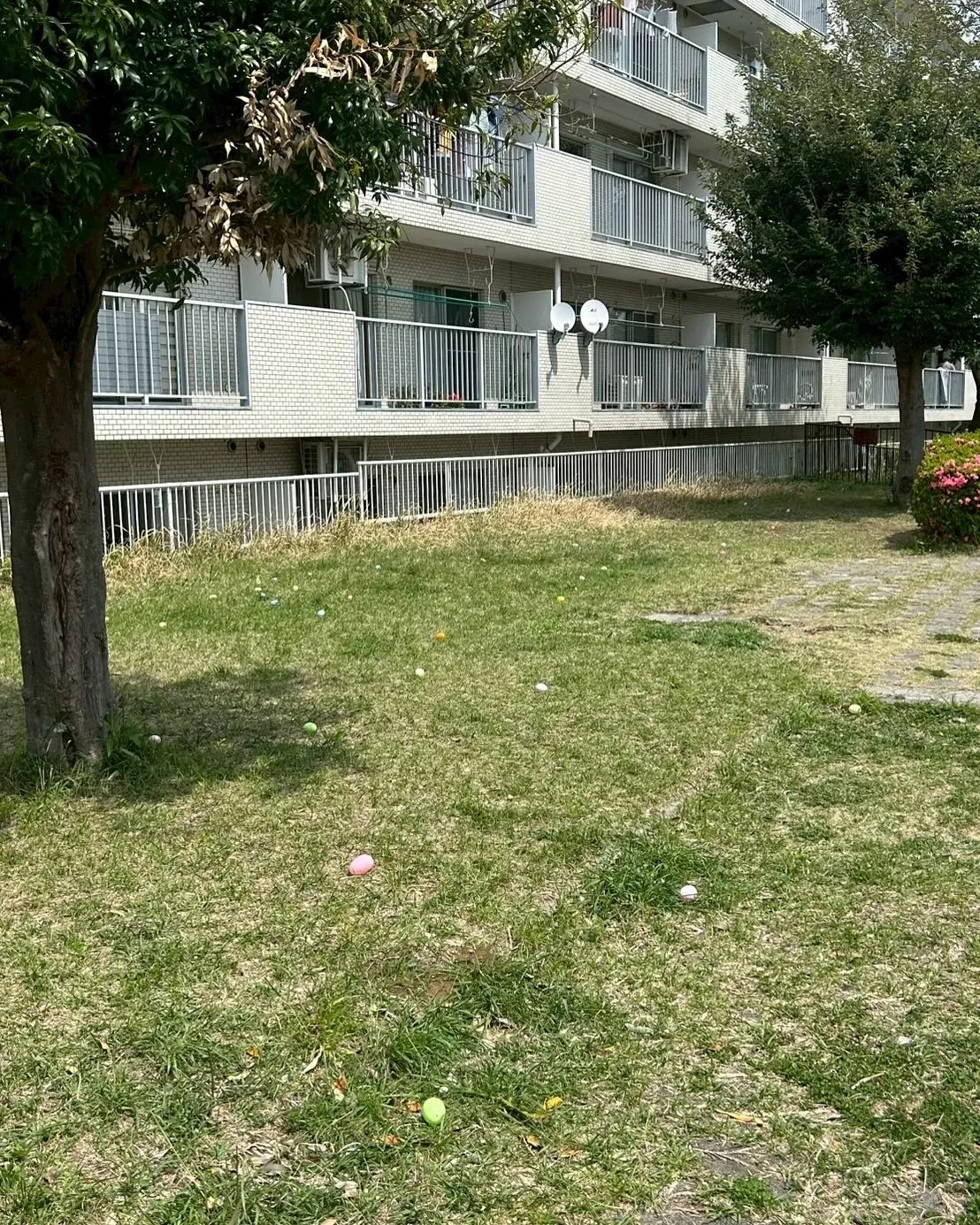 2025年のイースターは4/20(日)