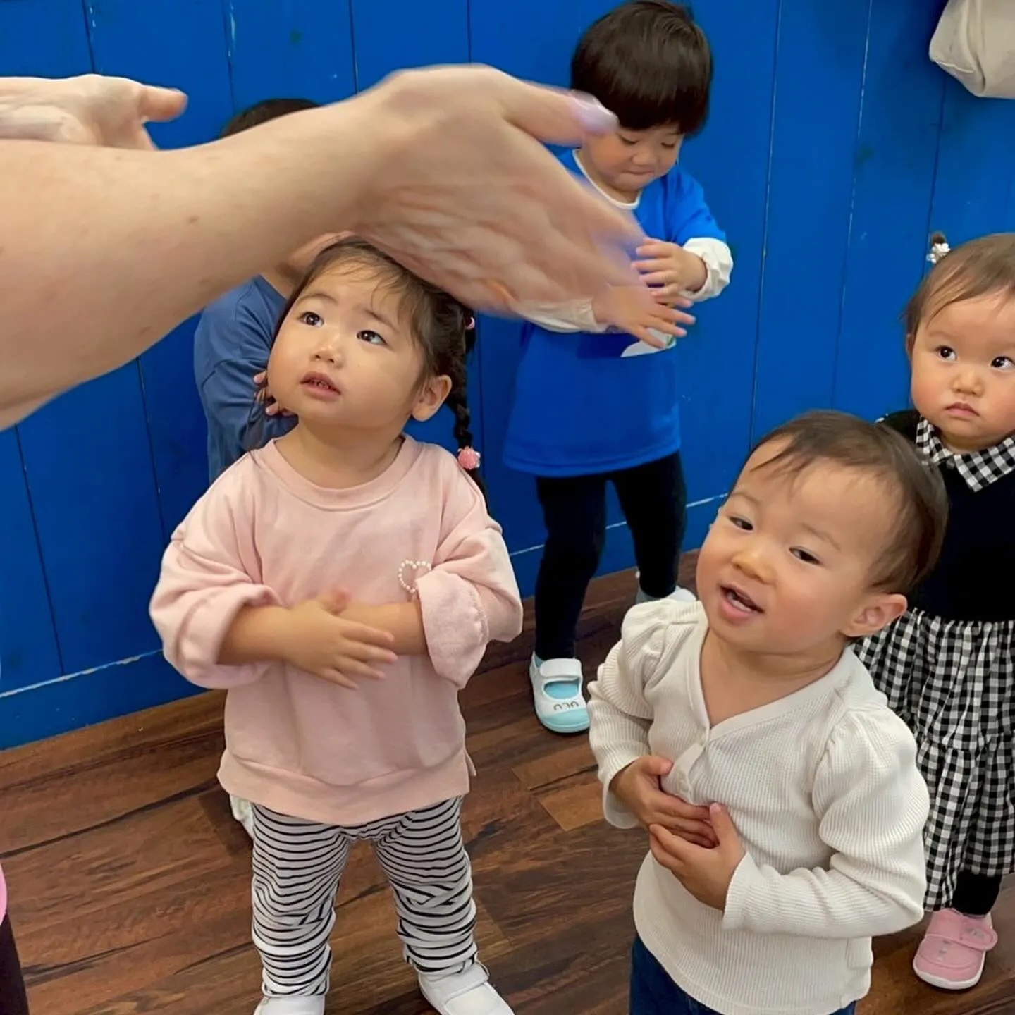 Today’s toddler class 