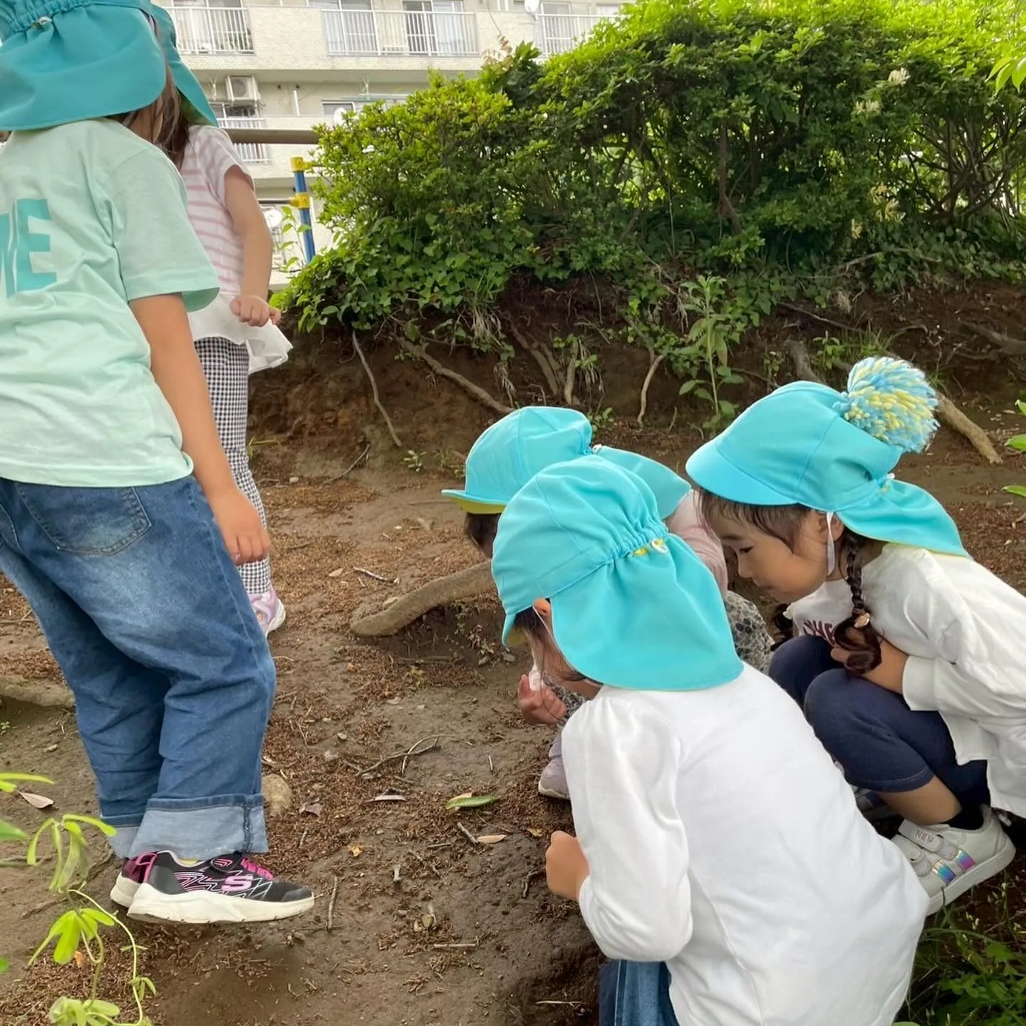 Today’s Kinder class