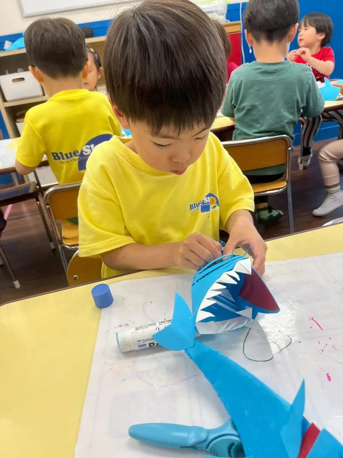 Kinder class and Kinder plus