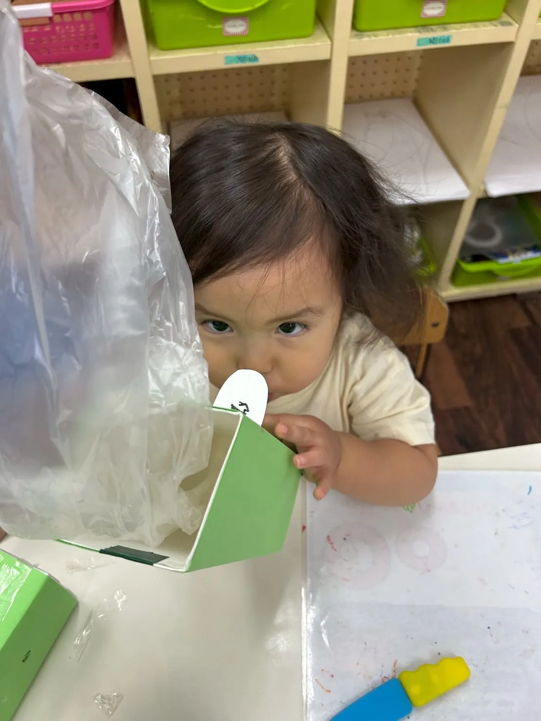 🌻Summer Program 2025  Day1 🍉