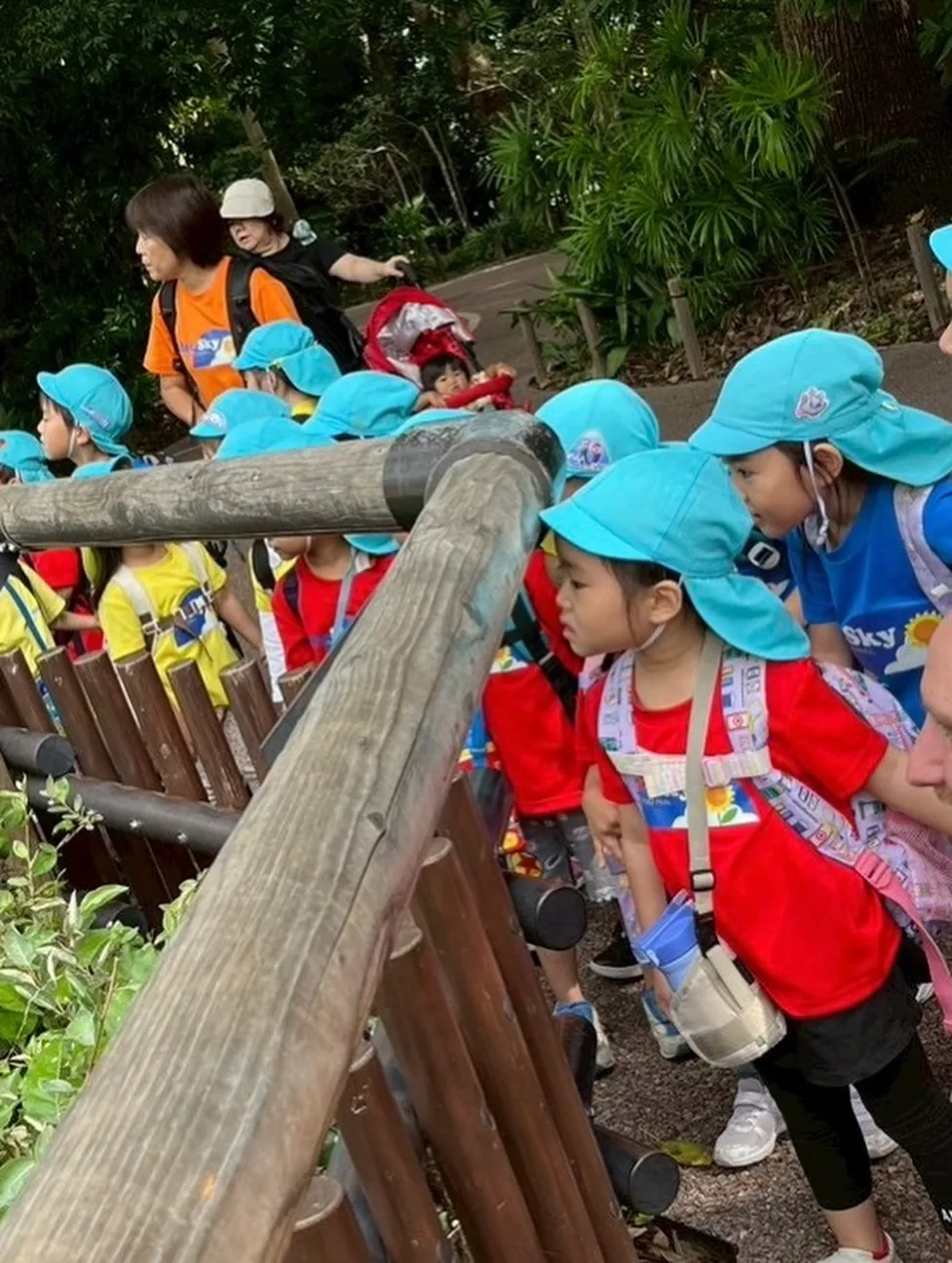 Today is a field trip！🌳