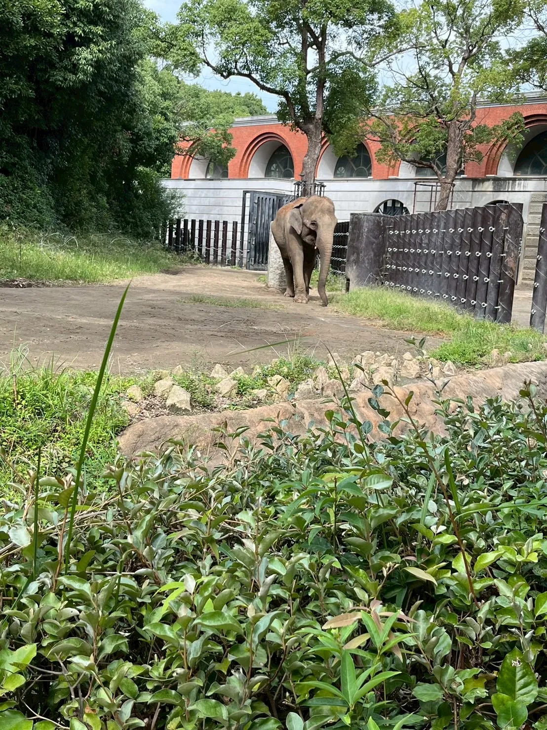 Today is a field trip！🌳
