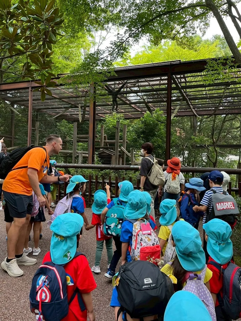 Today is a field trip！🌳