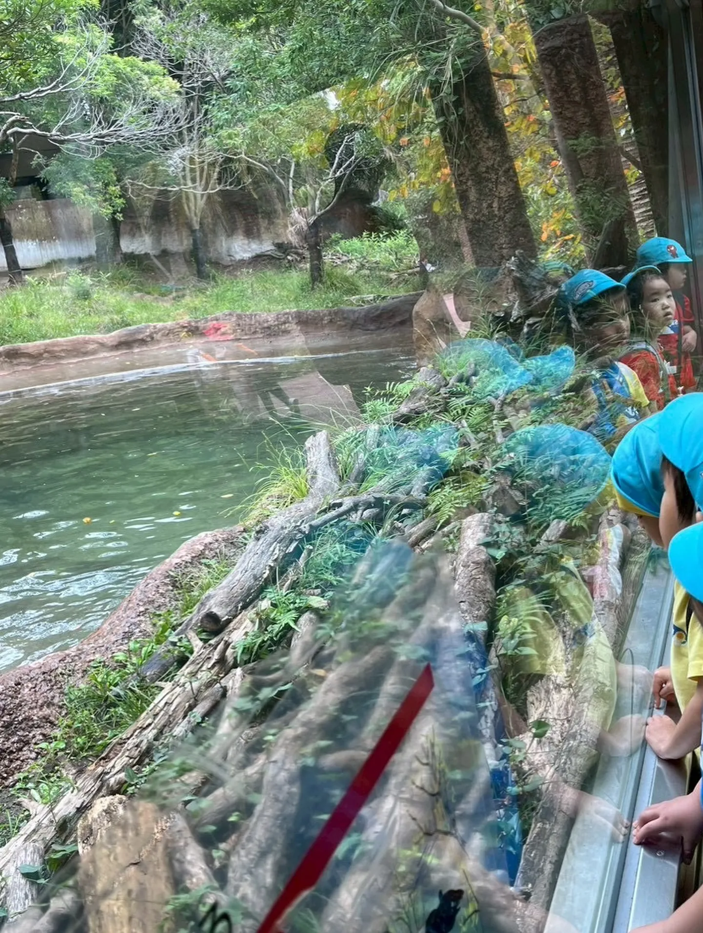 Today is a field trip！🌳