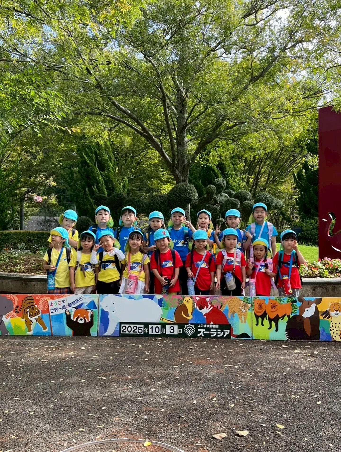 Today is a field trip！🌳