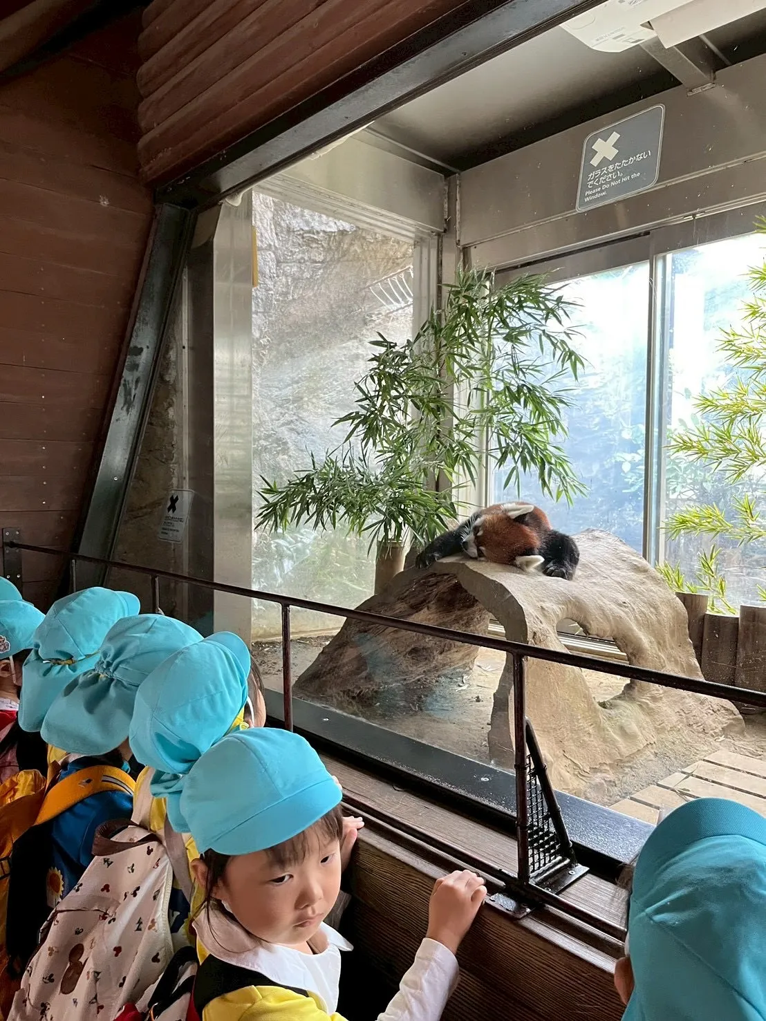 Today is a field trip！🌳