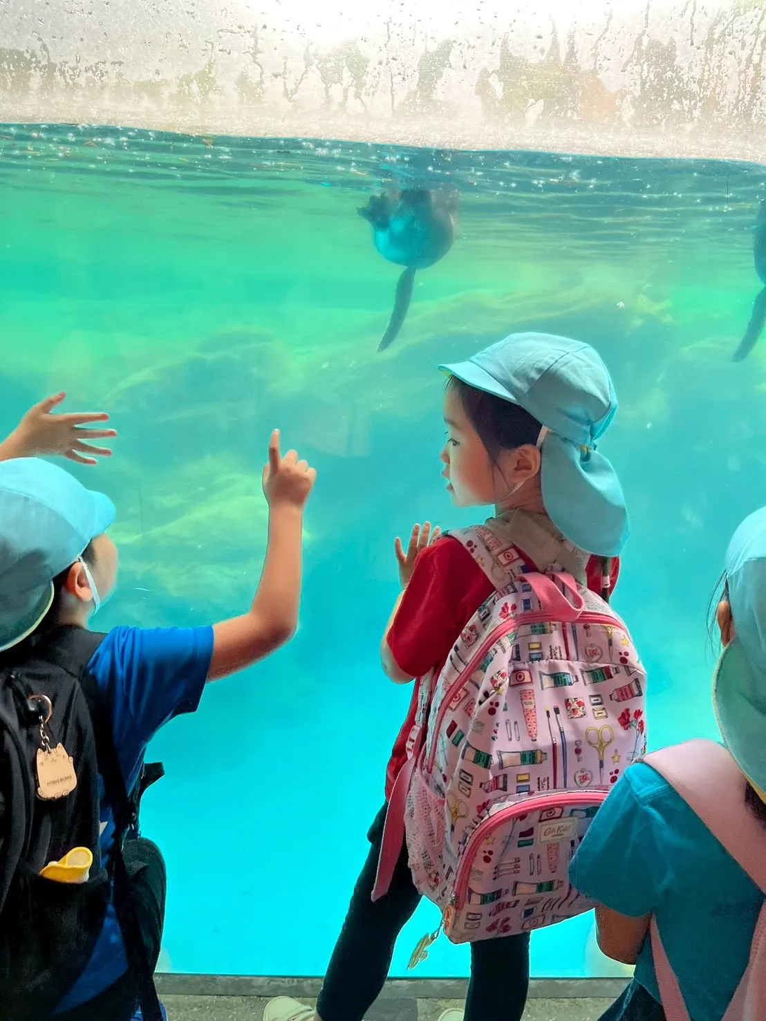 Today is a field trip！🌳