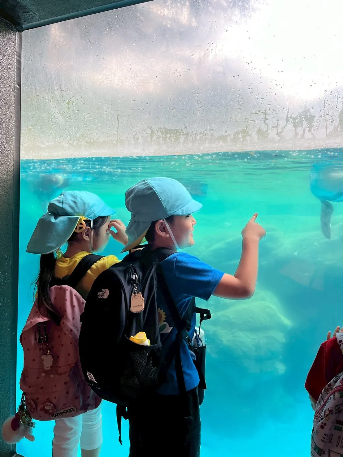 Today is a field trip！🌳