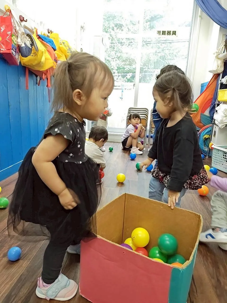 Toddler class