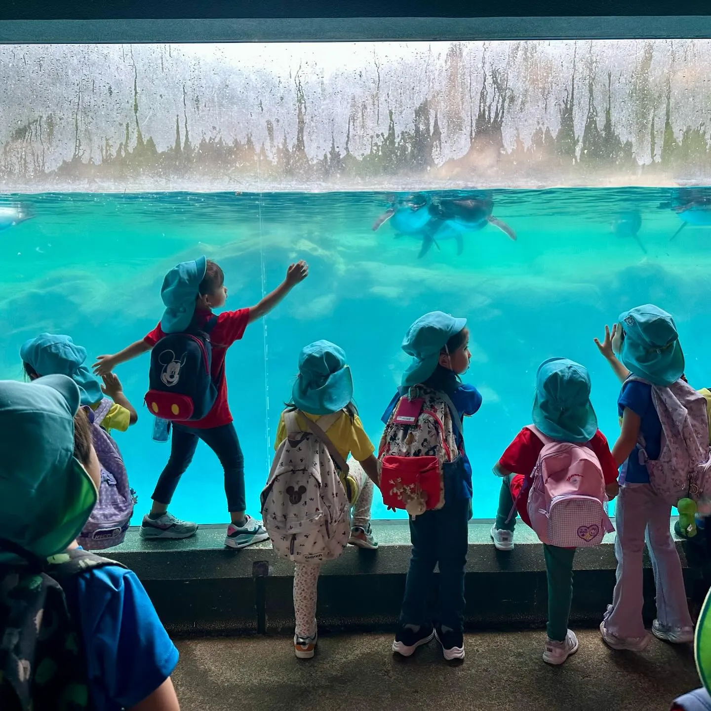 More pictures from our Kinder ...