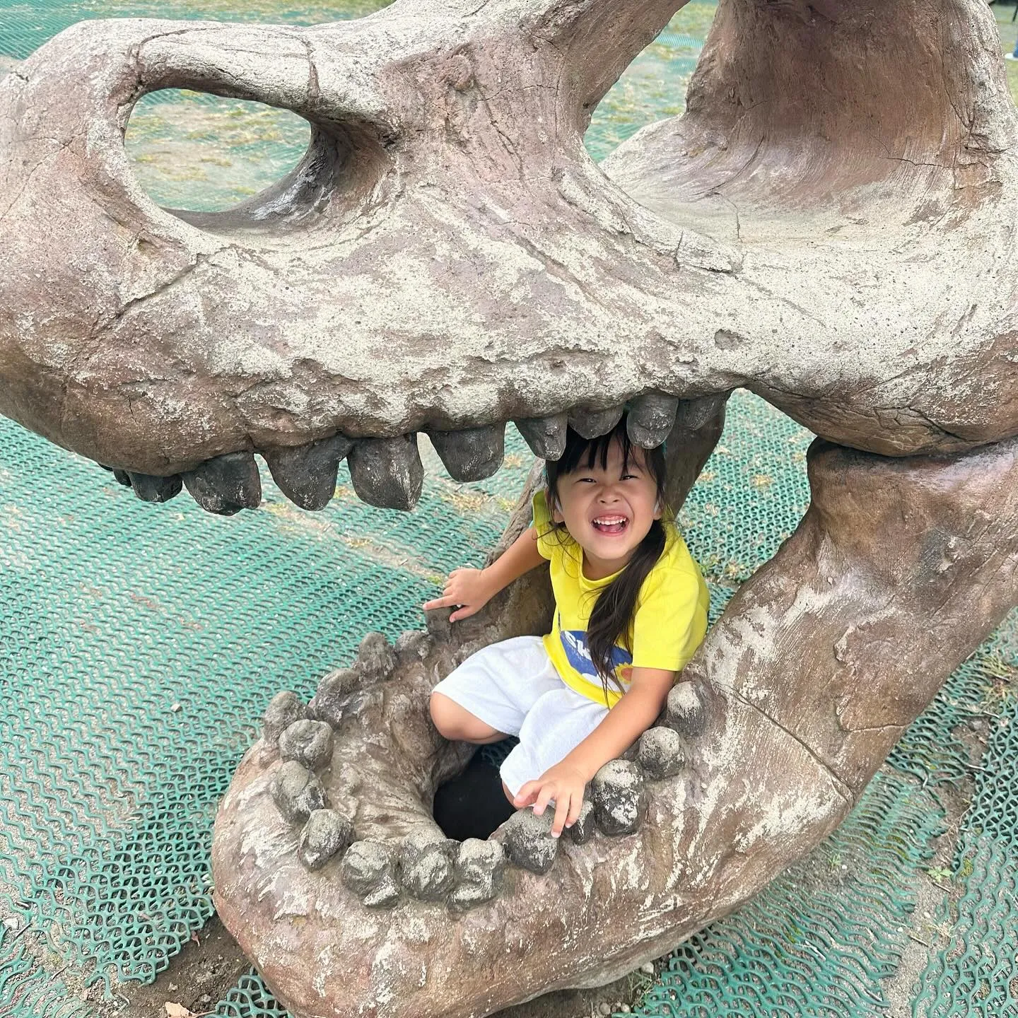 More pictures from our Kinder ...