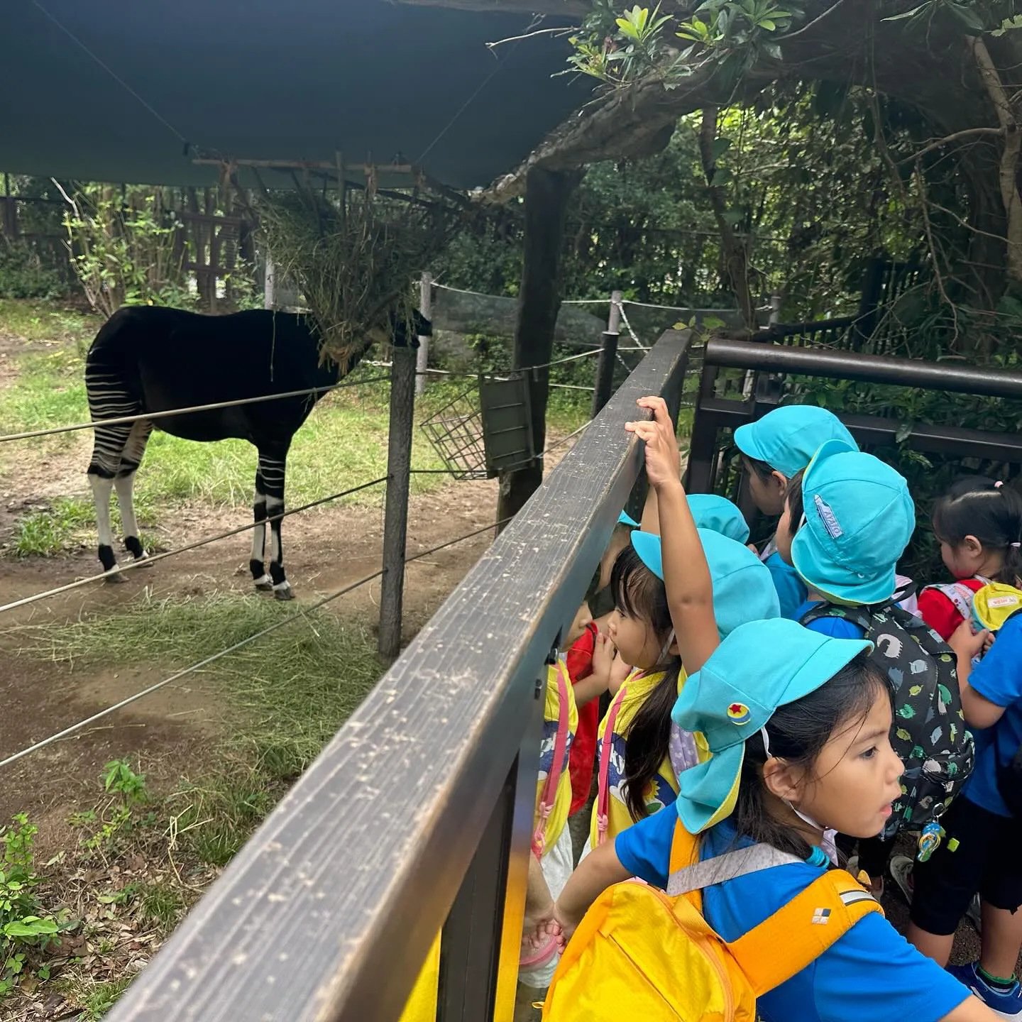 More pictures from our Kinder ...