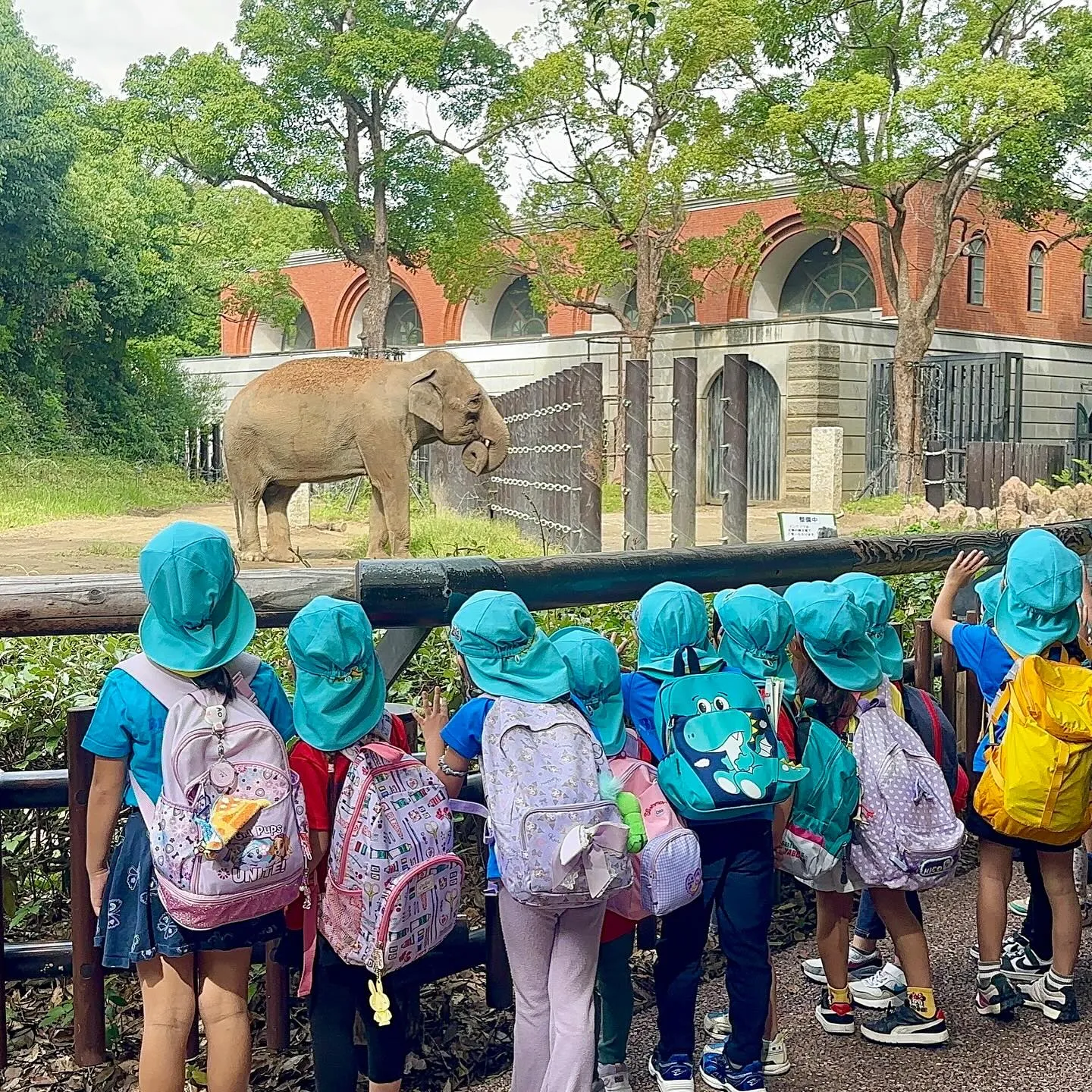 More pictures from our Kinder ...