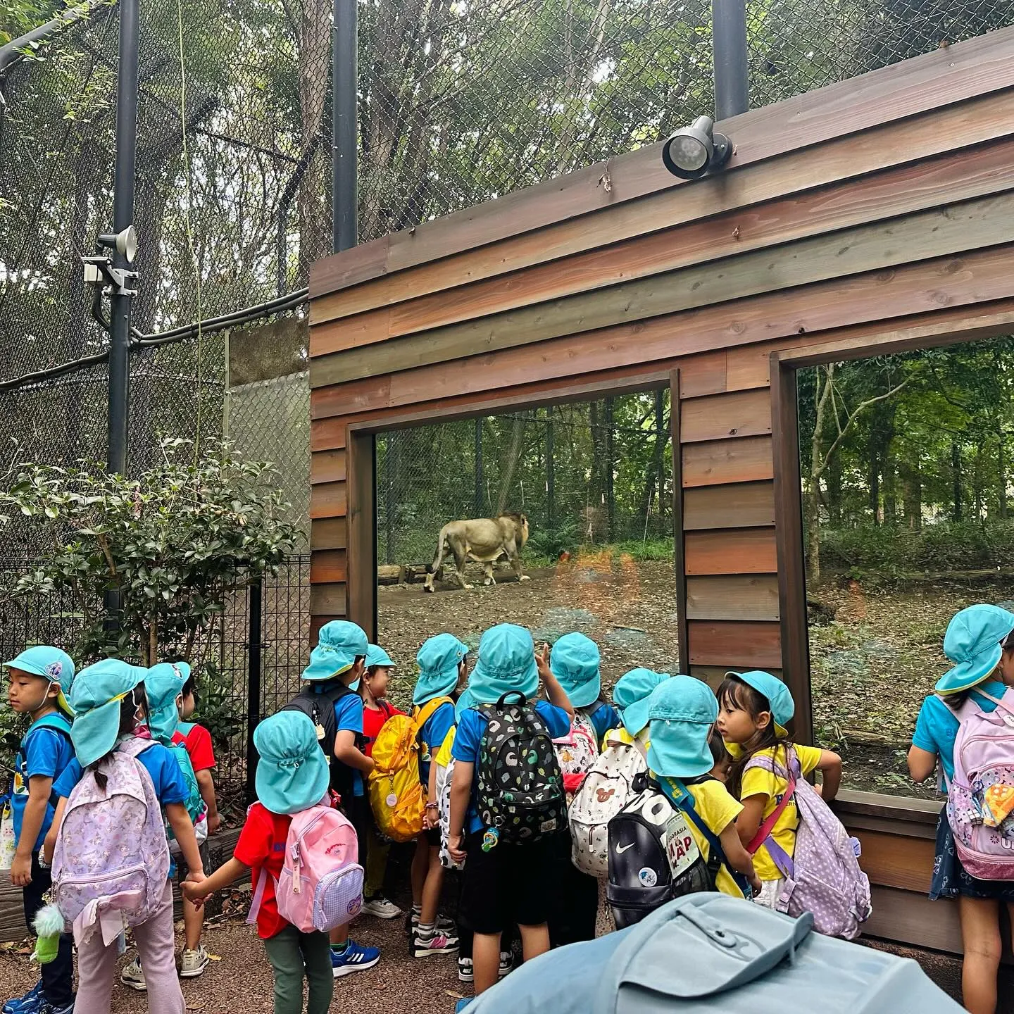 More pictures from our Kinder ...