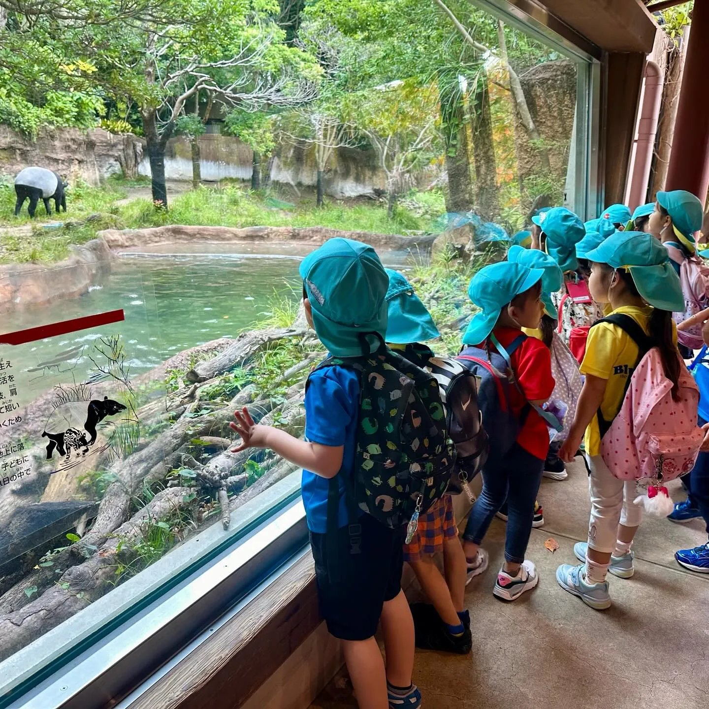 More pictures from our Kinder ...