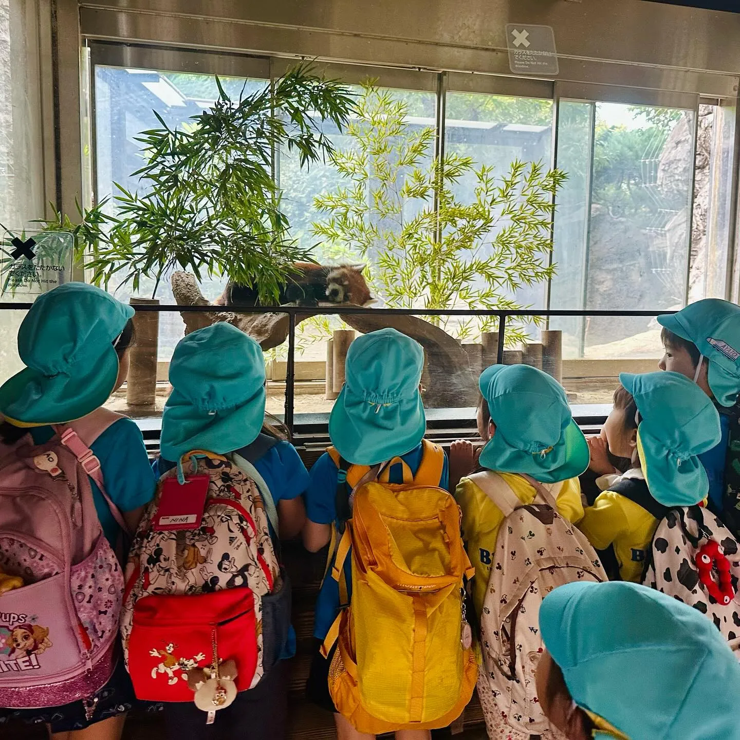 More pictures from our Kinder ...