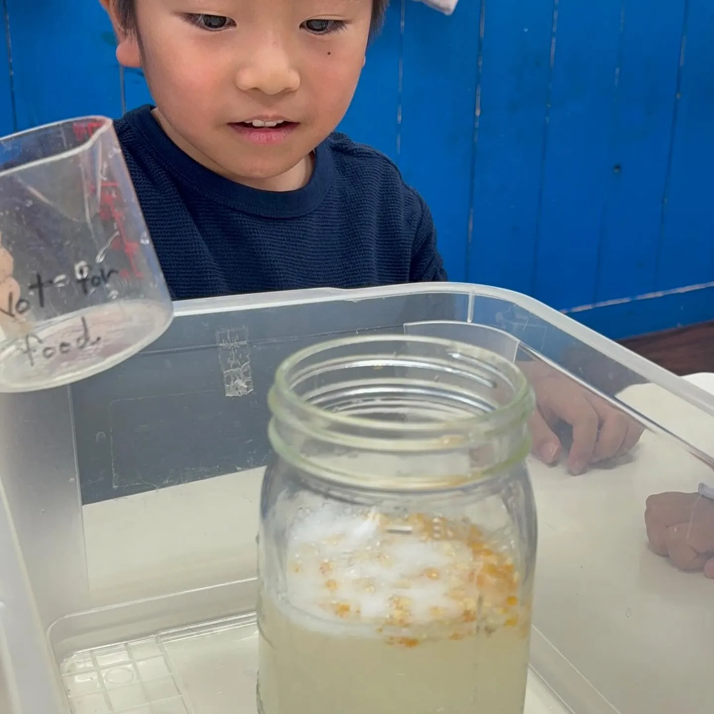 Kinder class experiment
