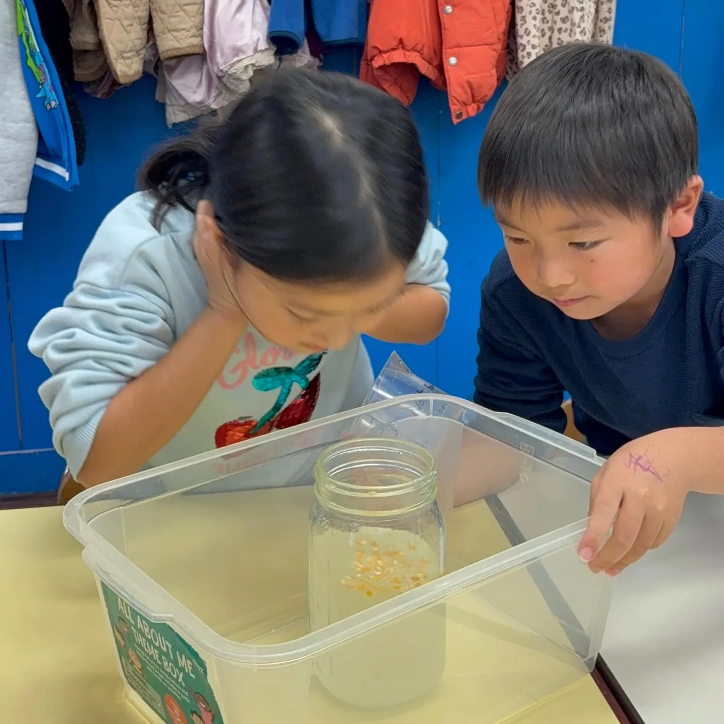 Kinder class experiment