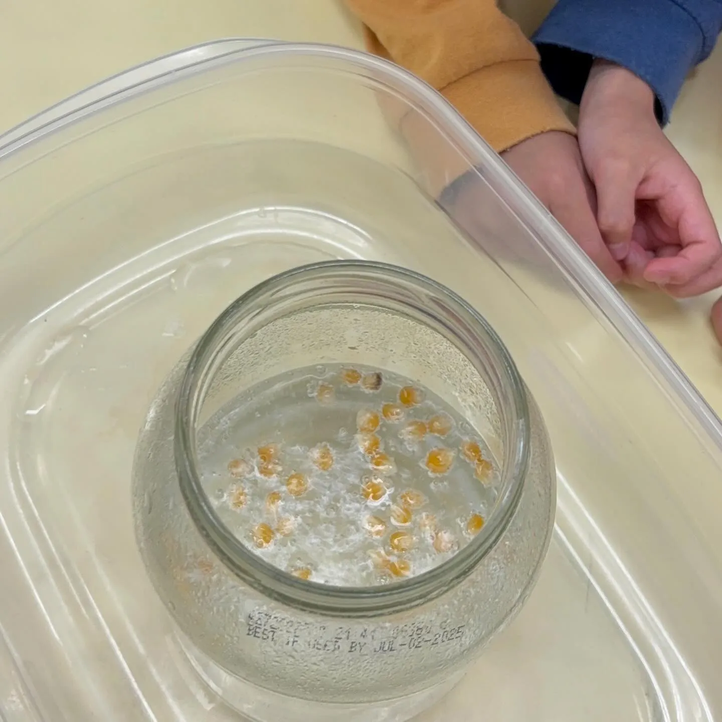 Kinder class experiment