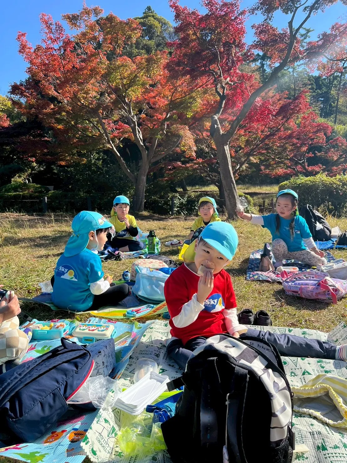 We went to the Oike Park！🍂