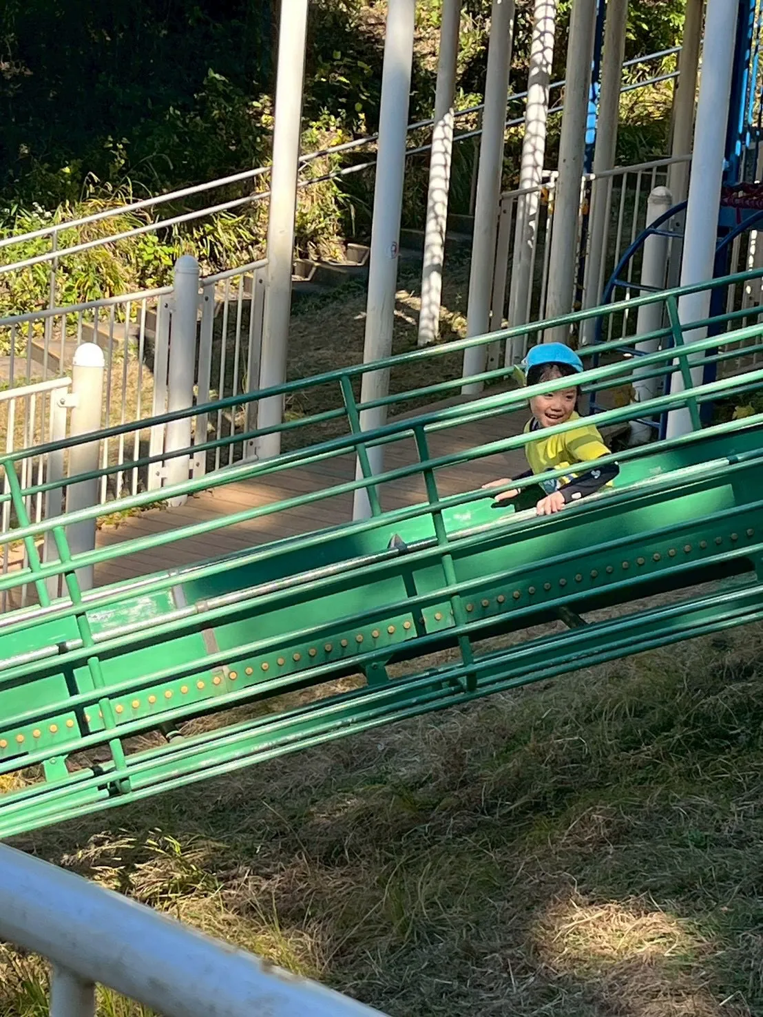 We went to the Oike Park！🍂