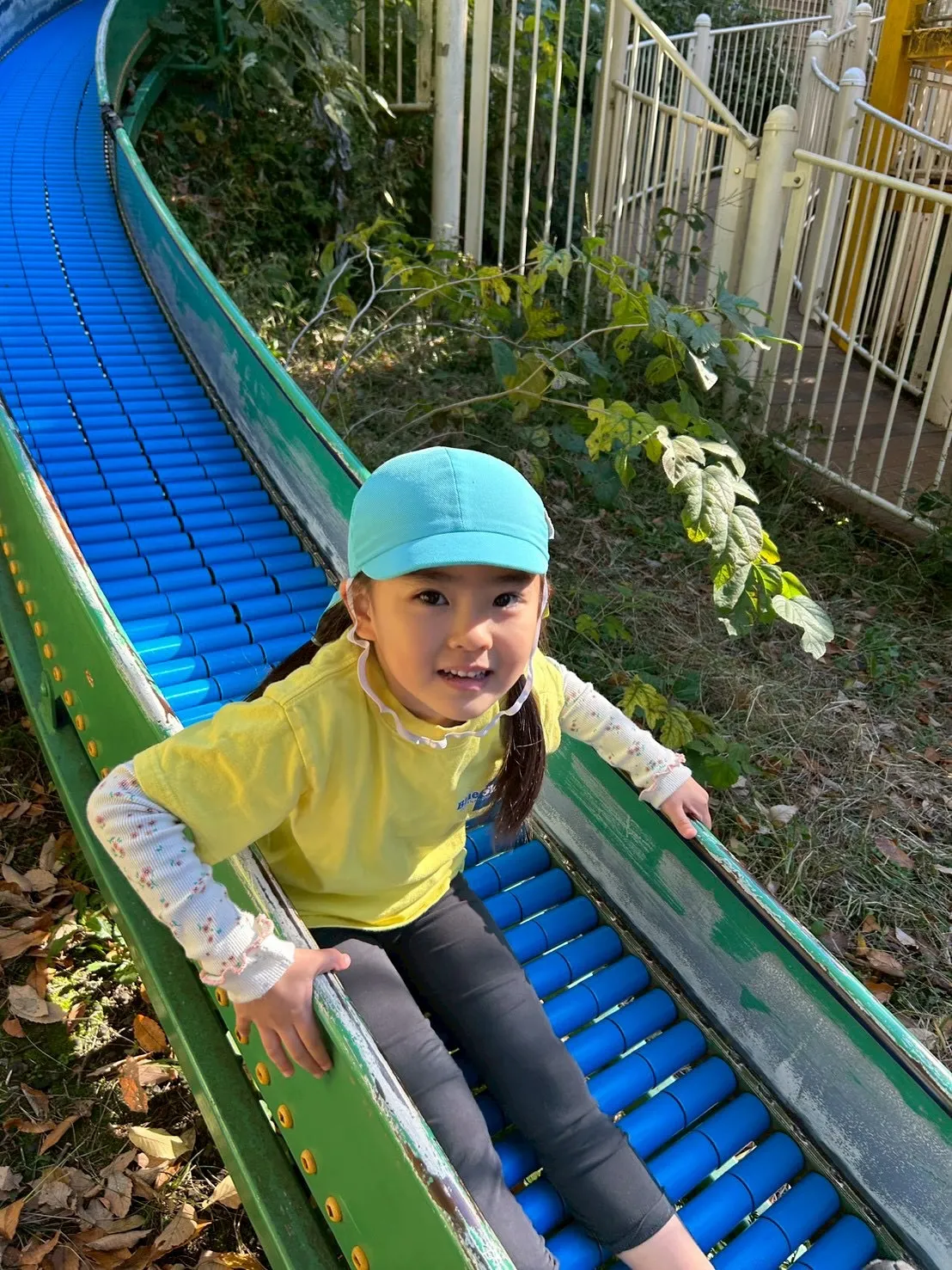 We went to the Oike Park！🍂