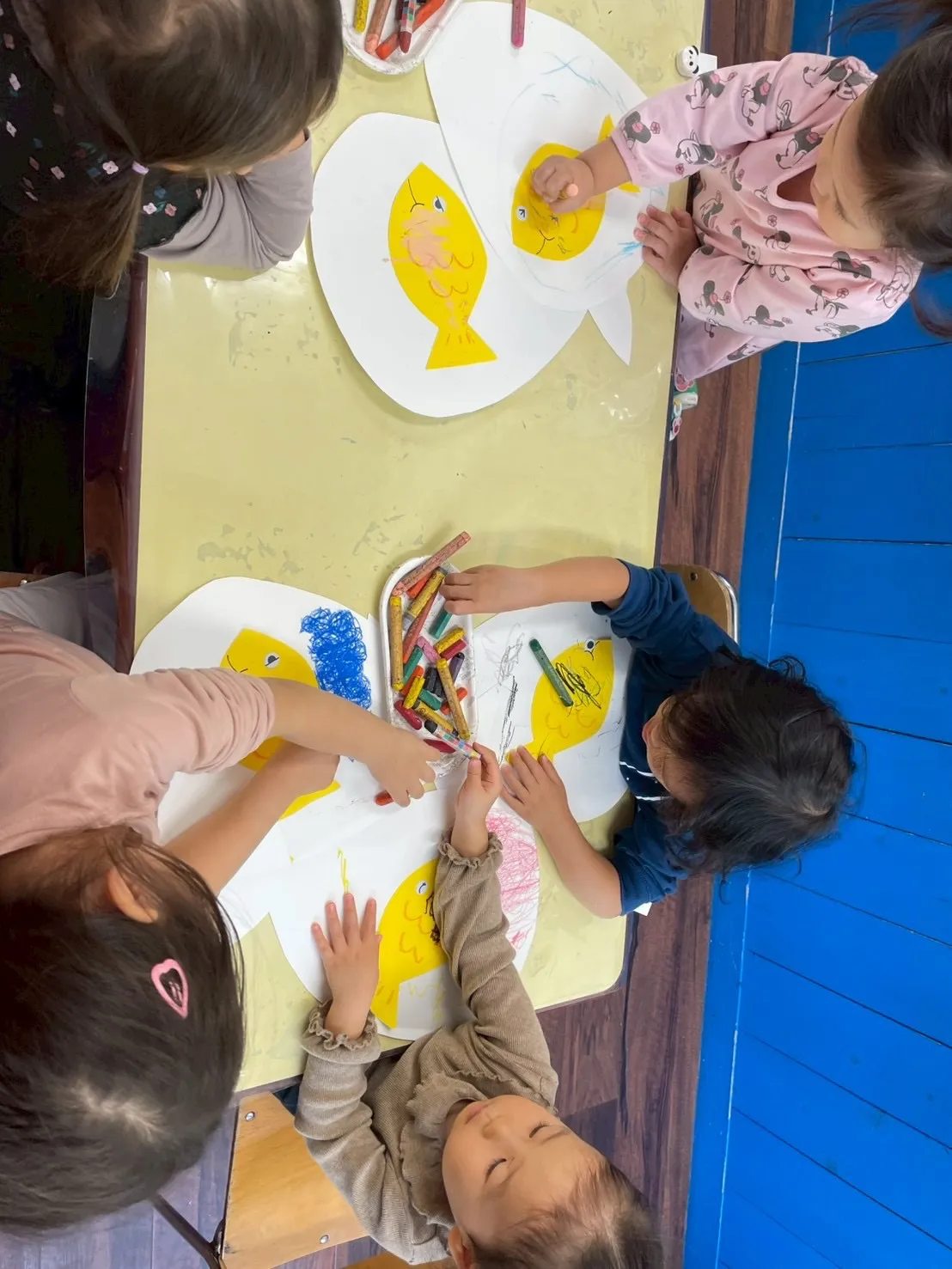 Toddler class