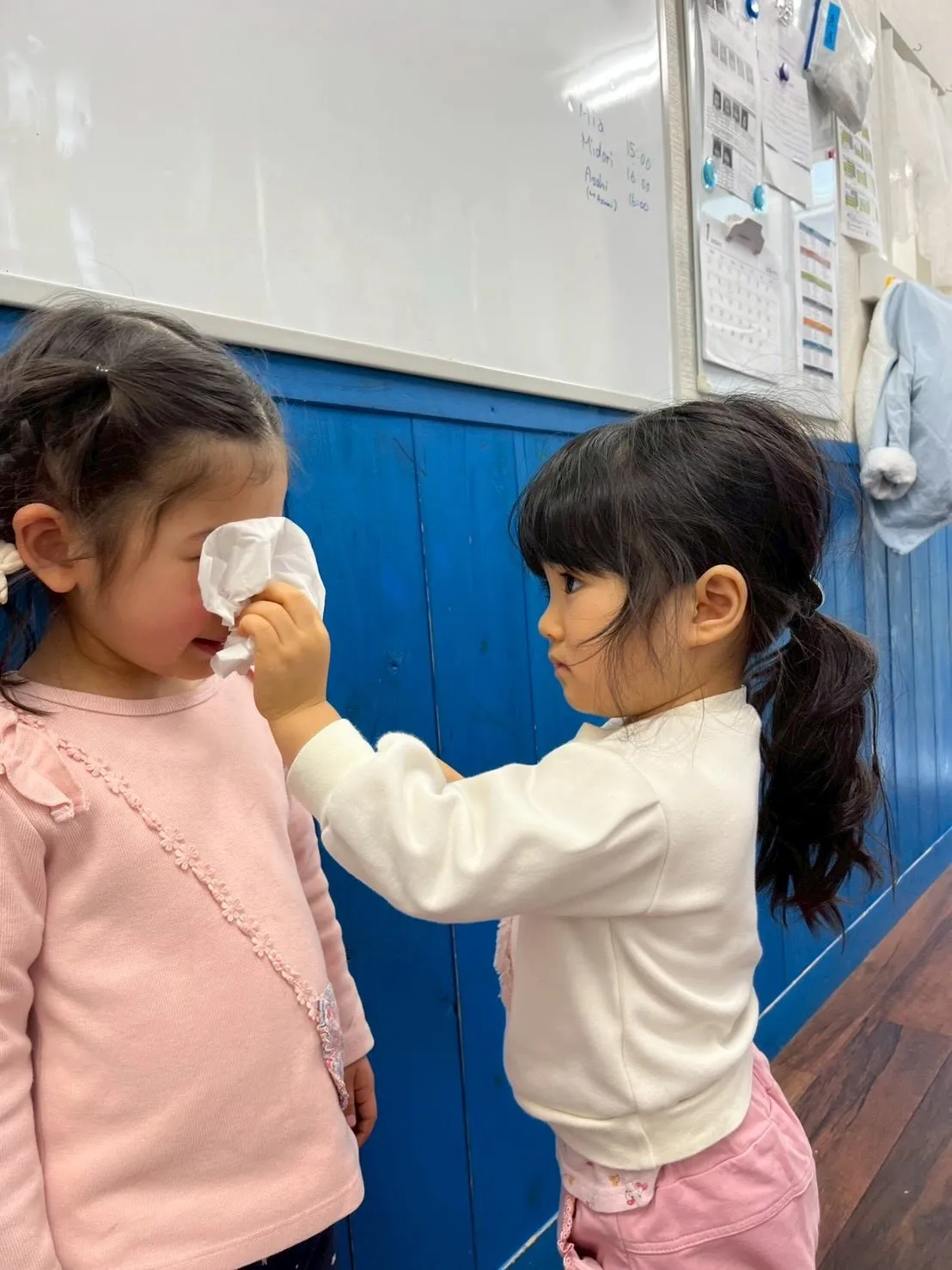 Welcome our new friend!