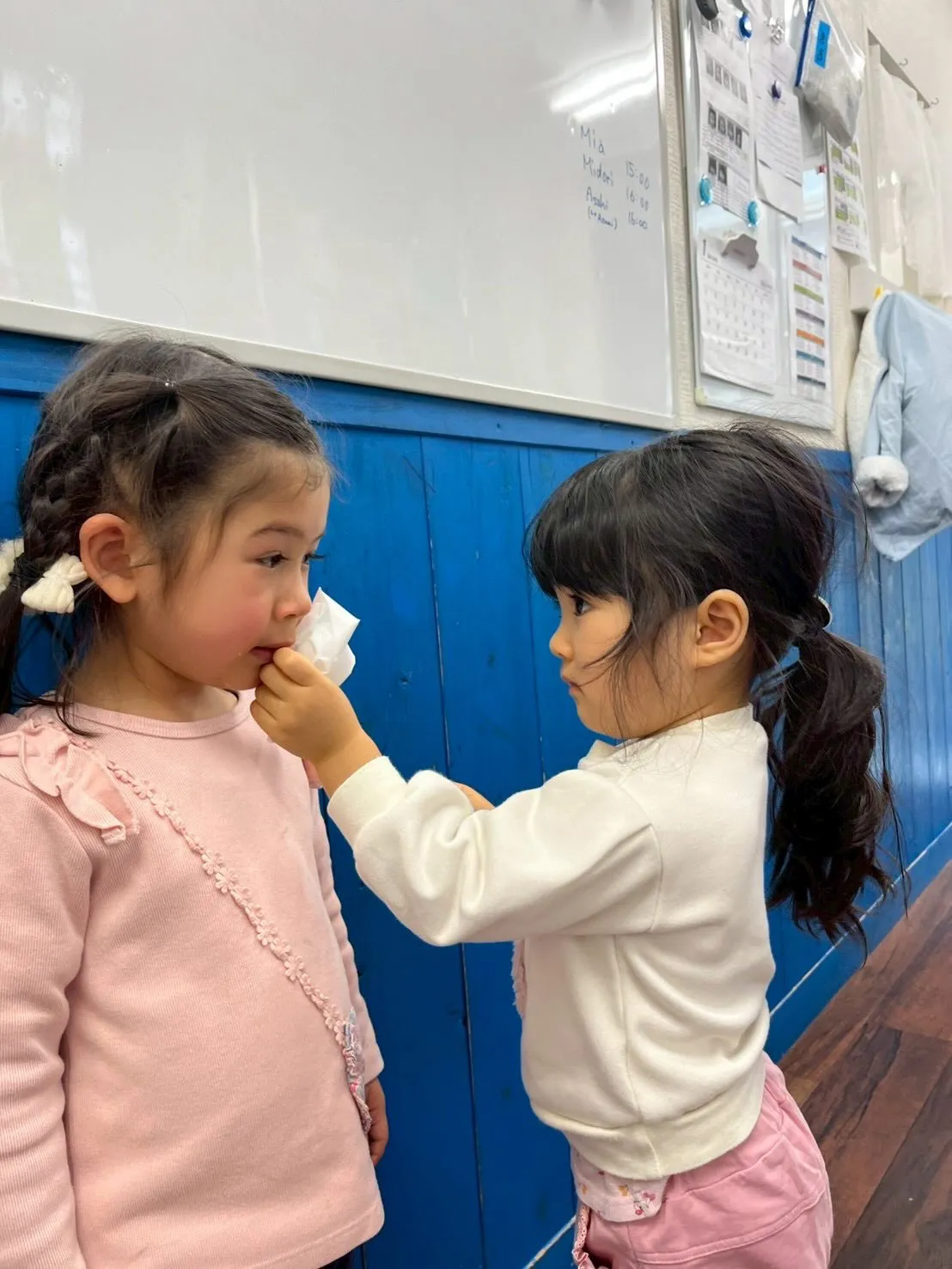 Welcome our new friend!