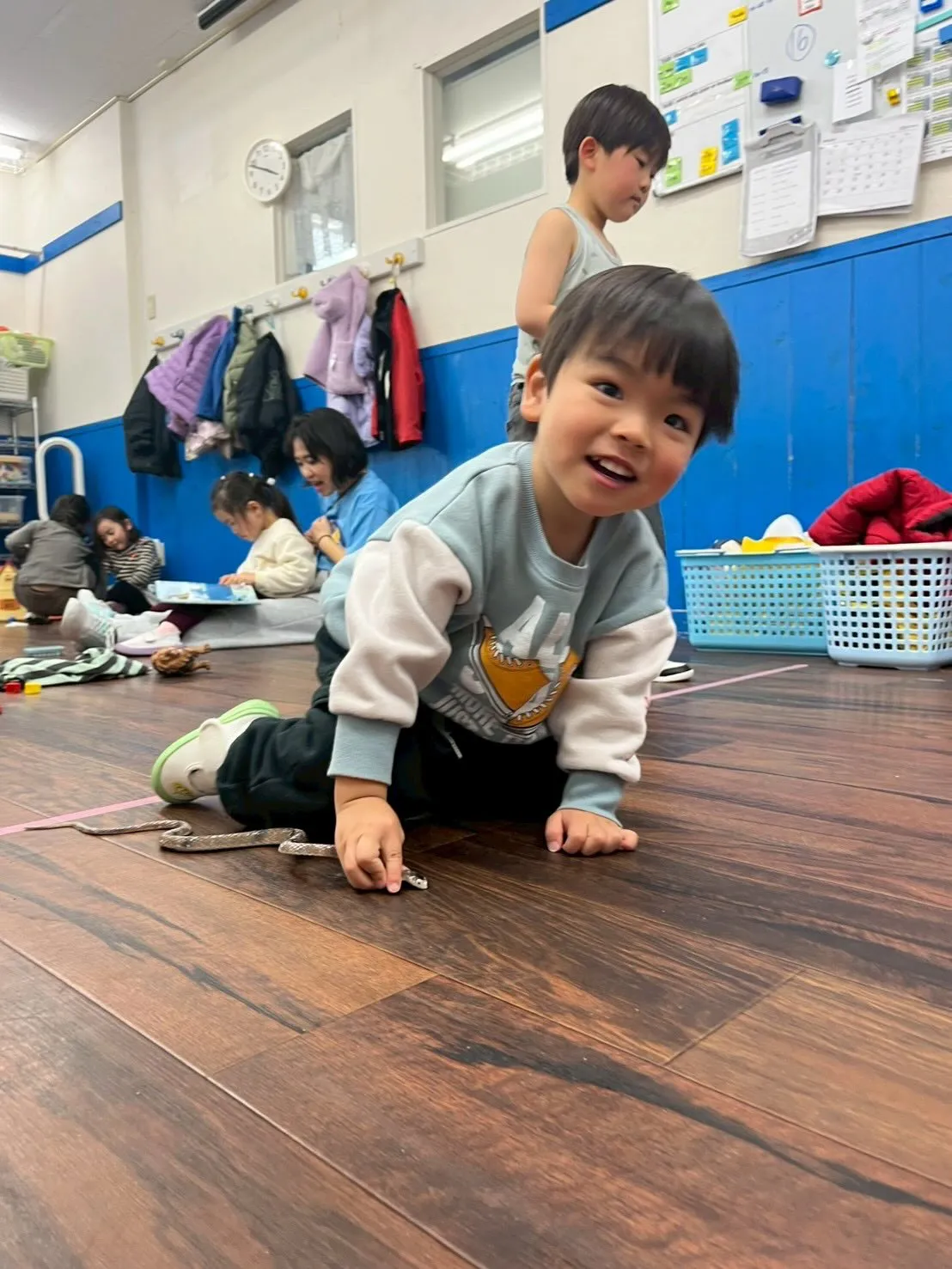 Welcome our new friend!