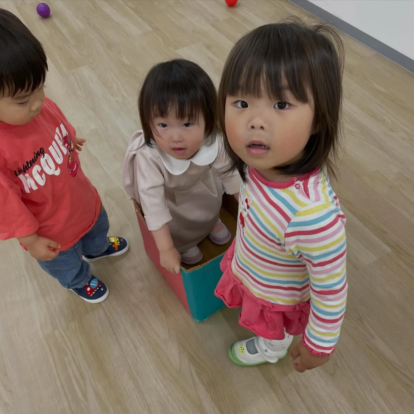 Toddler class