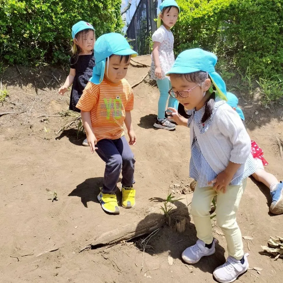 Kinder class Wednesday 