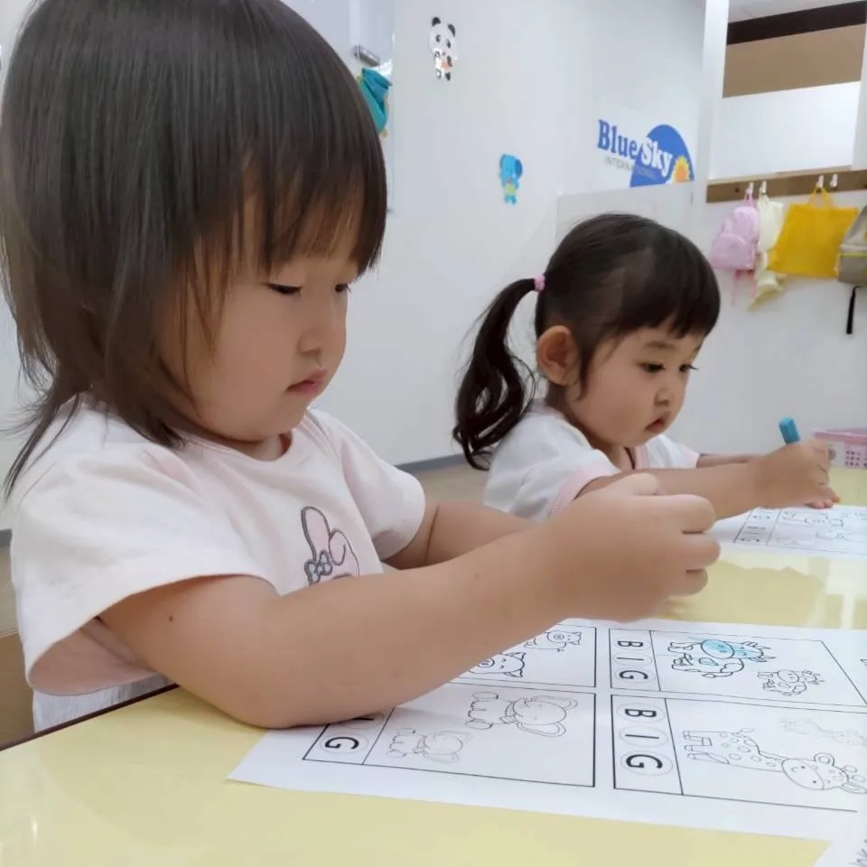 Toddler class 