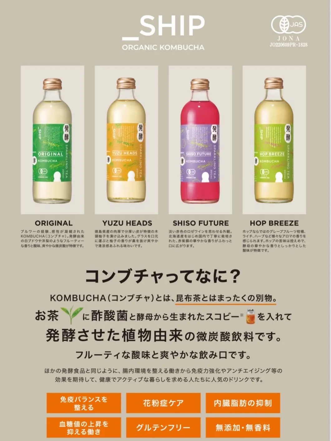 スペシャル体験のご案内✨
