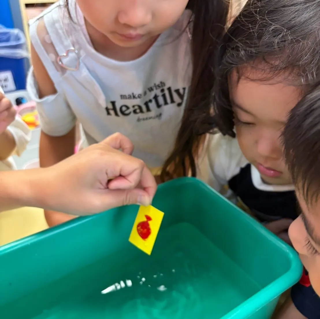 Summer program 