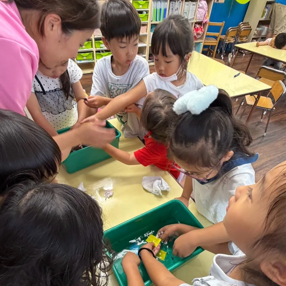 Summer program 