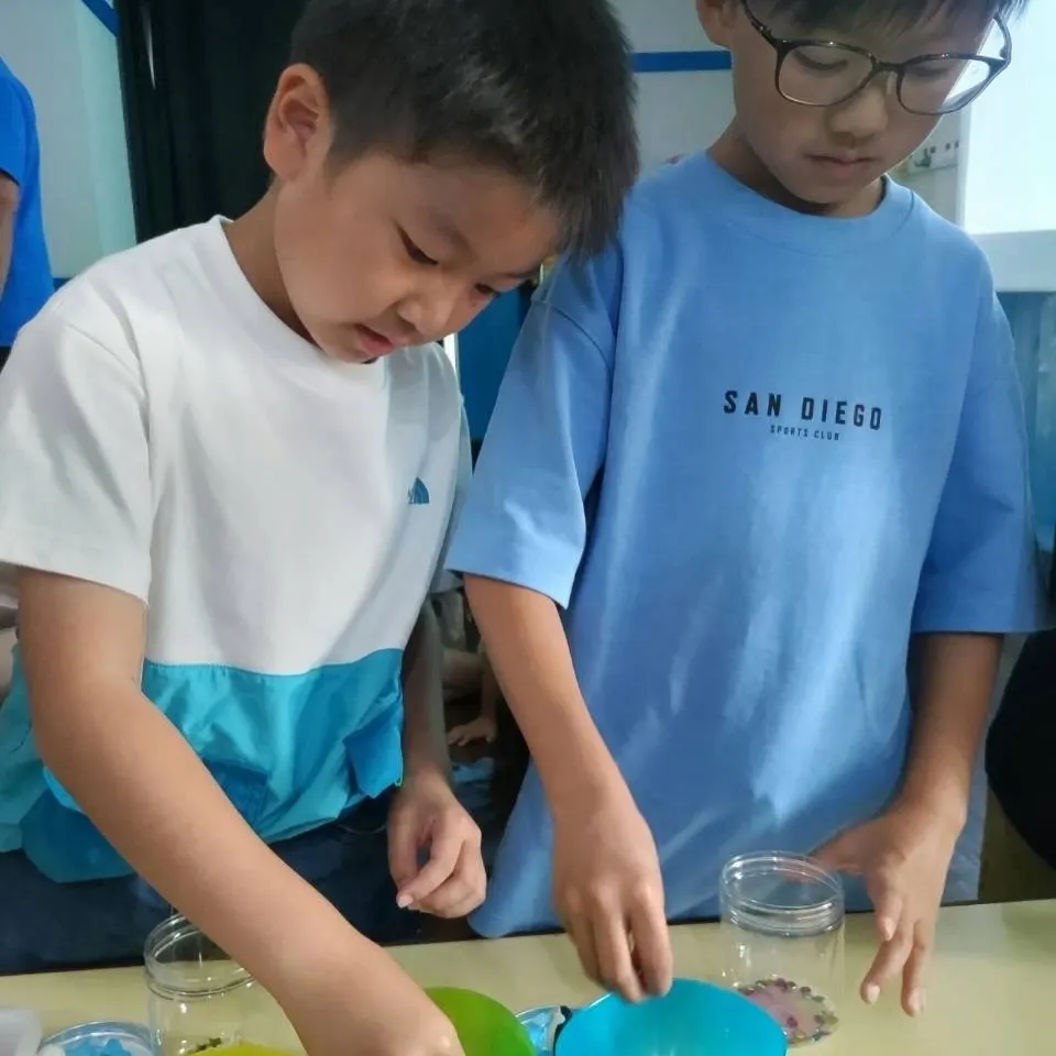 Summer program 