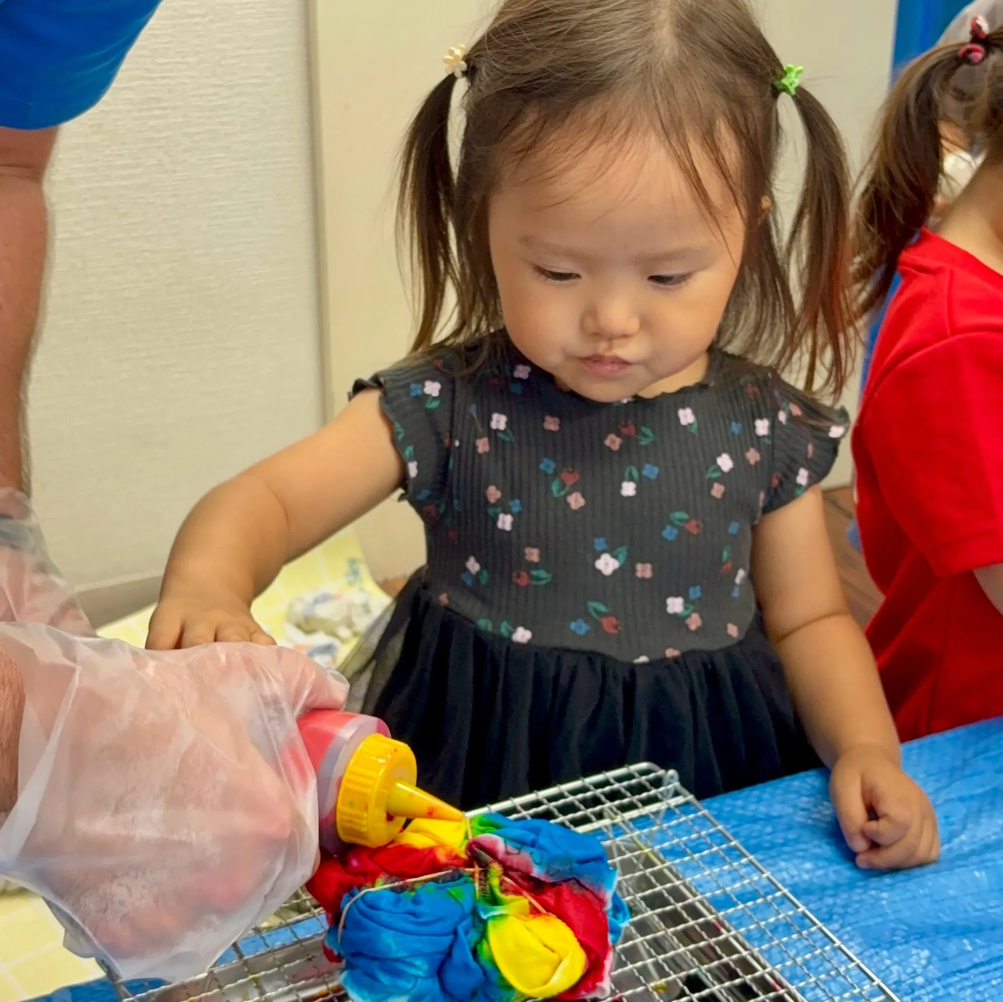 Summer program 